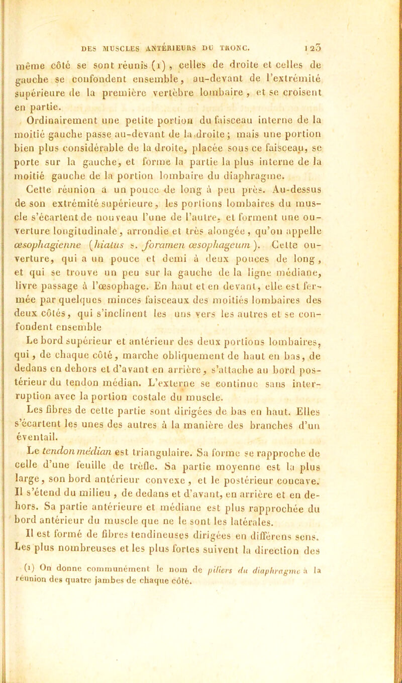 même côté se sont réunis (i) , celles de droite et celles de gauche se confondent ensemble, au-devant de l’extrémité supérieure de la première vertèbre lombaire , et se croisent en partie. Ordinairement une petite portion du faisceau interne de la moitié gauche passe au-devant de la .droite; mais une portion bien plus considérable de la droite, placée sous ce faisceau, se porte sur la gauche, et forme la partie la plus interne de la moitié gauche de la portion lombaire du diaphragme. Cette réunion a un pouce de long à peu près. Au-dessus de son extrémité supérieure, les portions lombaires du mus- cle s’écartent de nouveau l’une de l’autre, et forment une ou- verture longitudinale, arrondie et très alongée , qu’on appelle œsophagienne [hiatus s. Jbramen œsophageum ). Celle ou- verture, qui a un pouce et demi à deux pouces de long, et qui se trouve un peu sur la gauche de la ligne médiane, livre passage à l’œsophage. En haut et en devant, elle est fer- mée par quehjues minces faisceaux des moitiés lombaires des deux côtés, qui s’inclinent les uns vers les autres et se con- fondent ensemble Le bord supérieur et antérieur des deux portions lombaires, qui, de chaque côté, marche obliquement de haut en bas, de dedans en dehors et d’avant en arrière, s’attache au bord pos- térieur du tendon médian. L’externe se eonlinuc sans inter- « ruplion avec la portion costale du muscle. Les fibres de celte partie sont dirigées de bas en haut. Elles s’écartent les unes des autres à la manière des branches d’un éventail. Le tendon médian est triangulaire. Sa forme se rapproche de celle d’une leuille de trèfle. Sa partie moyenne est la plus large, son bord antérieur convexe, et le postérieur concave. Il s’étend du milieu , de dedans et d’avant, en arrière et en de- hors. Sa partie antérieure et médiane est plus rapprochée du bord antérieur du muscle que ne le sont les latérales. Il est formé de fibres tendineuses dirigées en dilférens sens. Les plus nombreuses et les plus fortes suivent la direction des (ï) On donne communément le nom de pi/iers (tu diaphragme ù la réunion des quatre jambes de chaque côté.
