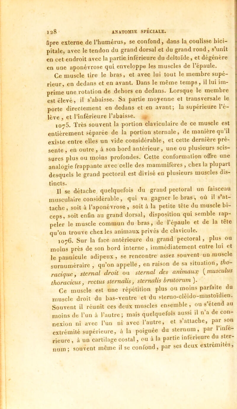 üpre externe de l’humérus, se confond, dans la coulisse bici- pitale, avec le tendon du grand dorsal et du grand rond, s’unit en cet endroit avec la partie inférieure du deltoïde, et dégénère en une aponévrose qui enveloppe les muscles de l’épaule. Ce muscle tire le bras, et avec lui tout le membre supé- rieur, en dedans et en avant. Dans le même temps, il lui im- prime une rotation de dehors en dedans. Lorsque le membre est élevé, il s’abaisse. Sa partie moyenne et transversale le porte directement en dedans et en avant; la supérieure l’é- lève , et l’inférieure l’abaisse. , 1075. Très souvent la portion claviculaire de ce muscle est entièrement séparée de la portion sternale, de manière qu’il existe entre elles un vide considérable, et celte dernière pré- sente . en outre , à son bord antérieur , une ou plusieurs scis- sures plus ou moins profondes. Cette conformation offre une analogie frappante avec celle des mammifères, chez la plupart desquels le grand pectoral est divisé en plusieurs muscles dis- tincts. Il se détache, quelquefois du grand pectoral un faisceau musculaire considérable, qui va gagner le bras, où il s’at- tache , soit à l’aponévrose , soit à la petite tête du muscle bi- ceps, soit enfin au grand dorsal, disposition qui semble rap- peler le muscle commun du bras, de l’épaule et de la tête qu’on trouve chez les animaux privés de clavicule. 1076. Sur la face antérieure du grand pectoral, plus ou moins près de son bord interne , immédiatement entre lui et le paunicule adipeux, se rencontre assez souvent un muscle surnuméraire , qu’on appelle, en raison de sa situation, tho- racique, sternal droit ou sternal des animaux {musculus thoracicus, rcctus sternalis, sternalis brutorum). Ce muscle est une répétition plus ou moins parfaite du muscle droit du bas-ventre et du sterno-cléido-mastoïdien. Souvent il réunit ces deux muscles ensemble, ou s étend au moins de l’un à l’autre; mais quelquefois aussi il n’a de con- nexion ni avec l’un ni avec l’autre, et s’attache, par son extrémité supérieure, ù la poignée du sternum, par me rieure , à un cartilage costal, ou à la partie inférieure du sler iium; souvent même il se confond, par ses deux extrémités.