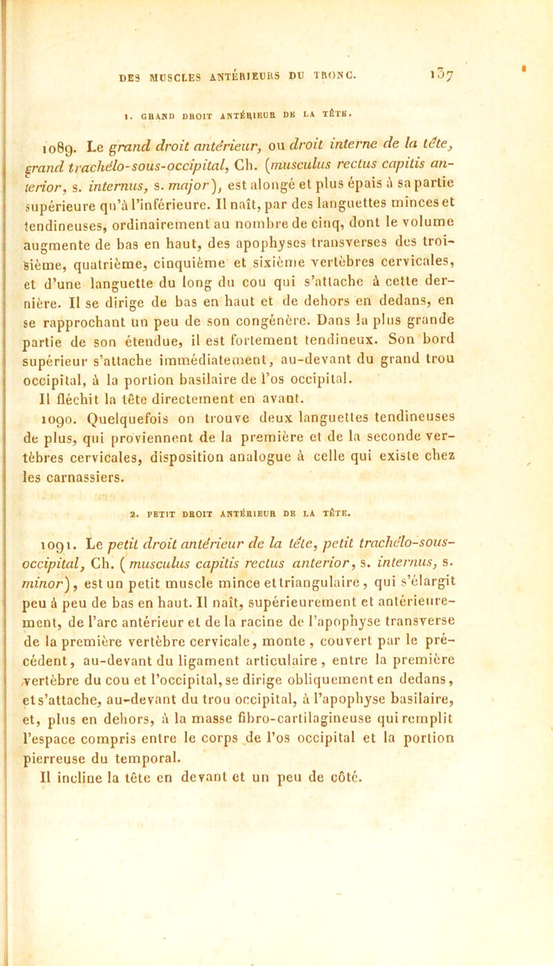 I. GBAND DBOIT ANTÉBIEUB DB LA TÊTK. 1089. Le grand droit antérieur, ou droit interne de la tête, grand trachélo-sous-occipital, Ch. [musculus reclus capilis an- terior, s. internus, s. major), est alongé et plus épais à sa partie supérieure qu’à l’inférieure. Il naît, par des languettes minces et tendineuses, ordinairement au nombre de cinq, dont le volume augmente de bas en haut, des apophyses transverses des troi- sième, quatrième, cinquième et sixième vertèbres cervicales, et d’une languette du long du cou qui s’attache à cette der- nière. Il se dirige de bas en haut et de dehors en dedans, en se rapprochant un peu de son congénère. Dans la pins grande partie de son étendue, il est fortement tendineux. Son bord supérieur s’attache immédiatement, au-devant du grand trou occipital, à la portion basilaire de l’os occipital. Il fléchit la tête directement en avant. logo. Quelquefois on trouve deux languettes tendineuses de plus, qui proviennent de la première et de la seconde ver- tèbres cervicales, disposition analogue à celle qui existe chez les carnassiers. 2. PETIT DBOIT ANTÉBIEUB DB LA TÊTE, logi. Le petit droit antérieur de la télé, petit trachélo-sous- occipital, Ch. [musculus capilis reclus anterior, s. internus, s. minor), est un petit muscle mince et triangulaire, qui s’élargit peu à peu de bas en haut. Il naît, supérieurement et antérieure- ment, de l’arc antérieur et de la racine de l’apophyse transverse de la première vertèbre cervicale, monte , couvert par le pré- cédent, au-devant du ligament articulaire, entre la première -vertèbre du cou et l’occipital, se dirige obliquement en dedans, et s’attache, au-devant du trou occipital, à l’apophyse basilaire, et, plus en dehors, à la masse fibro-cartilagineuse qui remplit I l’espace compris entre le corps,de l’os occipital et la portion j pierreuse du temporal. ■ Il incline la tête en devant et un peu de côté.