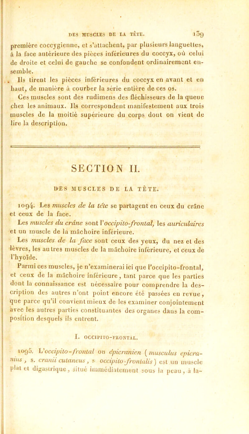 première coccygienne, et s’atlachent, par plusieurs languettes, la face antérieure des pièces inférieures du coccyx, où celui de droite et celui de gauche se confondent ordinairement en- semble. . Ils tirent les pièces inférieures du coccyx en avant et en haut, de manière à courber la série entière de ces os. Ces muscles sont des rudimens des fléchisseurs de la queue chez les animaux. Ils correspondent manifestement aux trois muscles de la moitié supérieure du corps dont on vient de lire la description. SECTION II. DES MUSCLES DE LA TÈTE. iog4. Les muscles de la teLe se partagent en ceux du crfmc et ceux de la face. Les muscles du crâne sont Voccipito-fronlal, les auriculaires et un muscle de la mâchoire inférieure. Les muscles de la face sont ceux des yeux, du nez et des lèvres, les autres muscles de la mâchoire inférieure, et ceux de l’hyoïde. Parmi ces muscles, je n’examinerai ici que l'occipito-frontal, et ceux de la mâchoire inférieure, tant parce que les parties dont la connaissance est nécessaire pour comprendre la des- cription des autres n’ont point encore été passées en revue, que parce qu’il convient mieux de les examiner conjointement avec les autres parties constituantes des organes dans la com- position desquels ils entrent. I. OCCU'ITO-FaONTAL. iog5, occipito-frontal ou épicranien (^musculus epicra- nius , s. cranii culaneus, s occipiLofronlalis') est un muscle plat et digastrique, situé immédiatement sous la peau, à la-