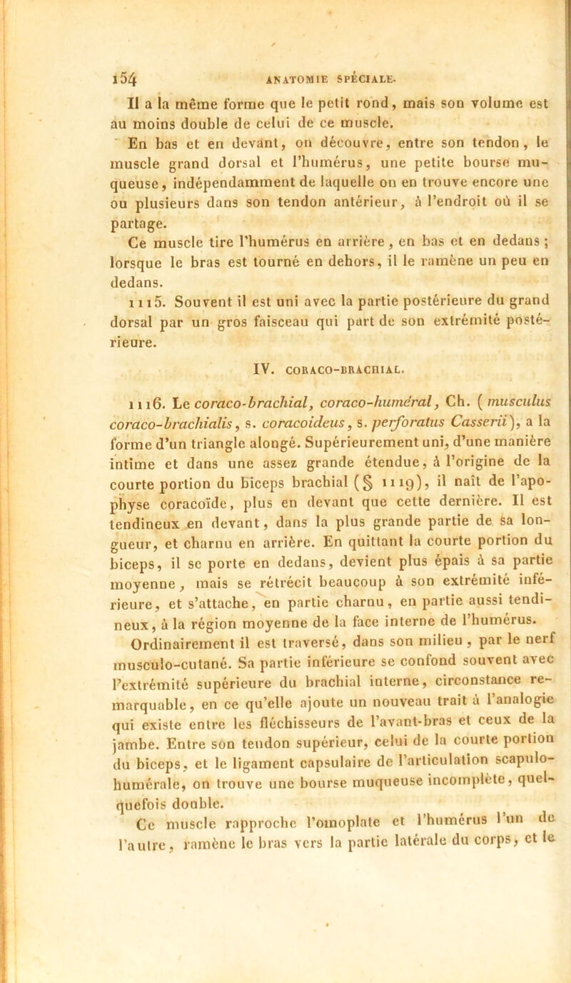 Il a la même forme que le petit rond, mais son volume est au moins double de celui de ce muscle. ' En bas et en devant, on découvre, entre son tendon, le muscle grand dorsal et rhumérus, une petite bourse mu- queuse, indépendamment de laquelle on en trouve encore une ou plusieurs dans son tendon antérieur, é l’endroit où il se partage. Ce muscle tire l’humérus en arrière, en bas et en dedans ; lorsque le bras est tourné en dehors, il le ramène un peu en dedans. 1115. Souvent il est uni avec la partie postérieure du grand dorsal par un gros faisceau qui part de son extrémité posté- rieure. IV. CORACO-BRACniAL. 1116. \jQ COraco-brachial, coraco-huméral, Ch. {musculus coraco-brachialis, s. coracoideus, s. perforatus Casserii), a la forme d’un triangle alongé. Supérieurement uni, d’une manière intime et dans une assez grande étendue, à l’origine de la courte portion du biceps brachial (§ 1119), il naît de l’apo- physe coracoïde, plus en devant que cette dernière. Il est tendineux en devant, dans la plus grande partie de sa lon- gueur, et charnu en arrière. En quittant la courte portion du biceps, il se porte en dedans, devient plus épais à sa partie moyenne, mais se rétrécit beaucoup à son extrémité infé- rieure, et s’attache,^en partie charnu, en partie aussi tendi- neux, à la région moyenne de la face interne de l’humérus. Ordinairement il est traversé, dans son milieu , par le nerf musculo-cutané. Sa partie inférieure se confond souvent avec l’extrémité supérieure du brachial interne, circonstance re- marquable, en ce qu’elle ajoute un nouveau trait à l’analogie qui existe entre les fléchisseurs de l’avant-bras et ceux de la jambe. Entre son tendon supérieur, celui de la courte portion du biceps, et le ligament capsulaire de l’articulation scapulo- humérale, on trouve une bourse muqueuse incomplète, quel- quefois double. Ce muscle rapproche l’omoplate et l’humérus 1 un de l’autre, ramène le bras vers la partie latérale du corps, et le