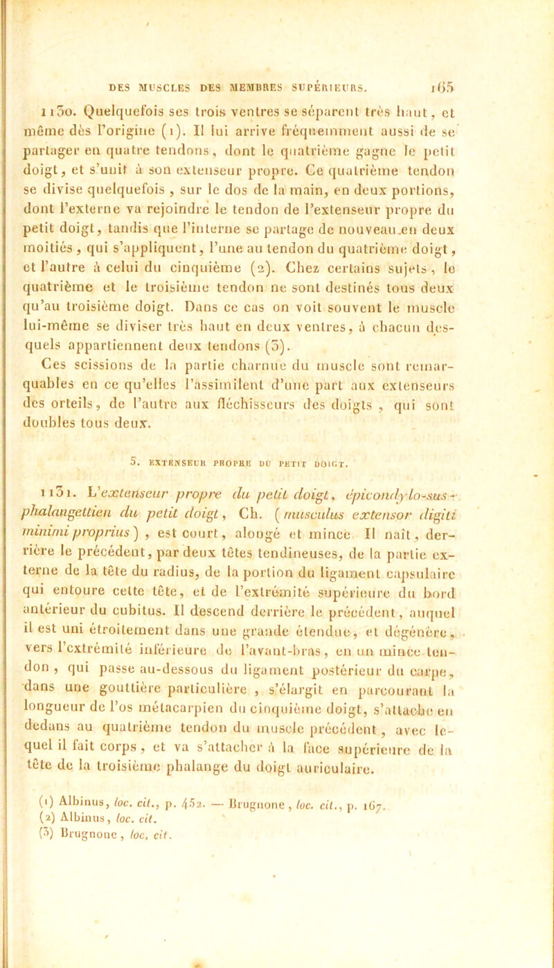 1 i5o. Quelquefois ses trois ventres se séparent très haut, et même dès l’origine (i). Il lui arrive fréquemment aussi de se partager en quatre tendons, dont le quatrième gagne le petit doigt, et s’unit à son extenseur propre. Ce quatrième tendon se divise quelquefois , sur le dos de la main, en deux portions, dont l’externe vu rejoindre le tendon de l’extenseur propre du petit doigt, tandis que l’interne se partage de uouveau.en deux moitiés , qui s’appliquent, l’une au tendon du quatrième doigt, et l’autre é celui du cinquième (2). Chez certains sujets , le quatrième et le troisième tendon ne sont destinés tous deux qu’au troisième doigt. Dans ce cas on voit souvent le muscle lui-même se diviser très haut en deux ventres, à chacun des- quels appartiennent deux tendons (5). Ces scissions de la partie charnue du muscle sont remar- quables en ce qu’elles l’assimilent d’une part aux extenseurs des orteils, de l’autre aux fléchisseurs des doigts , qui sont doubles tous deux. 5. EXTBWSKl'H PROPHli DU PETIT UOICT. ii3i. Vextenseur propre du pelil doigt, épicondylo-sus- phalangettiea du petit doigt, Ch. ( rnusculus extensor digiti mininiiproprius) , est court, alongé et mince II naît, der- rière le précédent, par deux têtes tendineuses, de la partie ex- terne de la tête du radius, de la portion du ligament capsulaire qui entoure cette tête, et de l’extrémité supérieure du l>oid antérieur du cubitus. Il descend derrière le précédent, auquel il est uni étroitement dans une grande étendue, et dégénère, vers 1 extrémité iuféiieure de l’avant-bras, en un mince ten- don , qui passe au-dessous du ligament postérieur du carpe, dans une gouttière particulière , s’élargit en parcourant la longueur de l’os métacarpien du cinquième doigt, s’attache en dedans au quatrième tendon du muscle précédent, avec le- quel il fait corps, et va s’attacher é la face supérieure de la tête de la troisième phalange du doigt auriculaire. (1) Albinus, toc. cil., p. 4.52. — Brugaone , toc. cil., p. 1Ü7. (2) Albinus, toc. cil. (S) Bru gnouc, toc, cil.