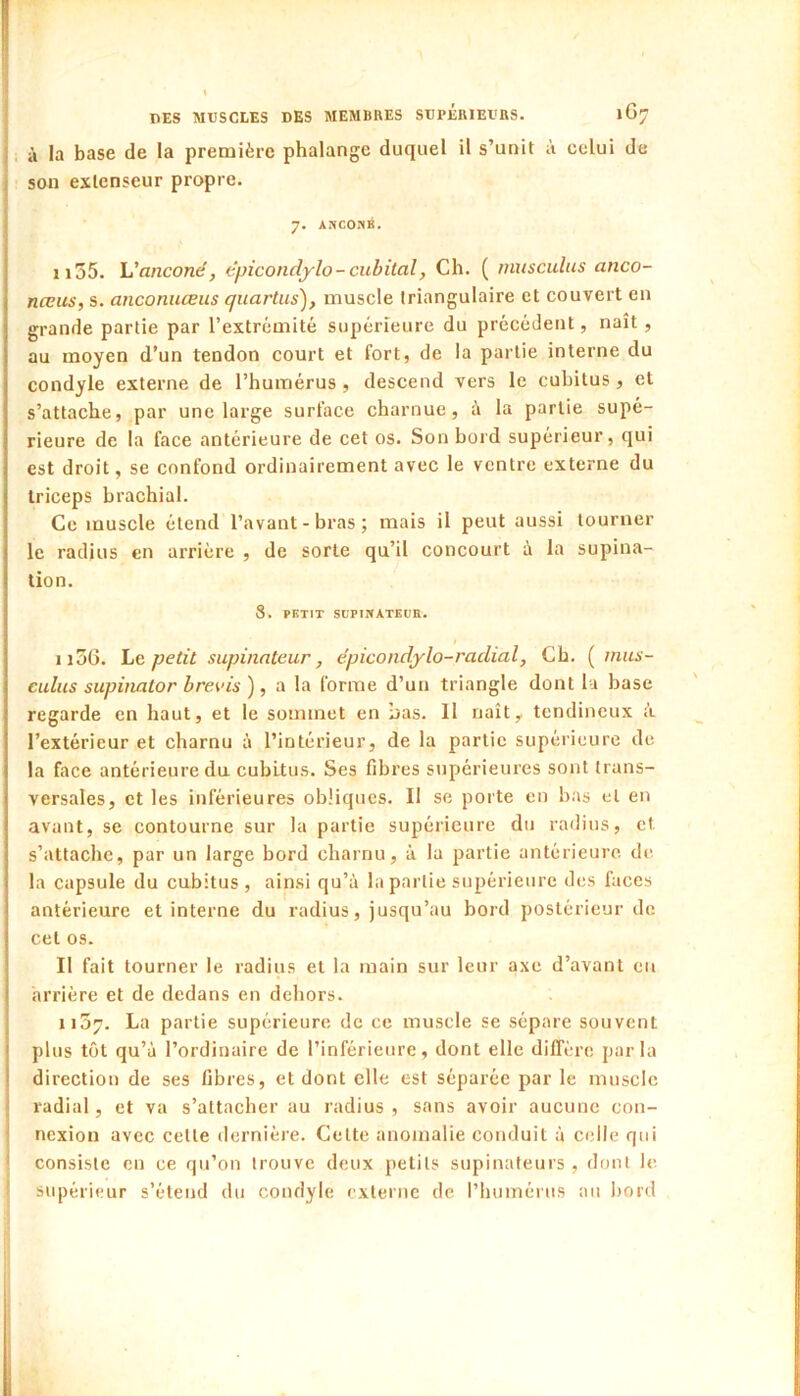 à la base de la première phalange duquel il s’unit à celui de sou extenseur propre. 7. AMConé. ii55. h'anconé, tpicondylo- cubital, Ch. ( rnusculus anco- nœus, s. anconuœus quartus), muscle triangulaire et couvert en grande partie par l’extrémité supérieure du précédent, naît, au moyen d’un tendon court et fort, de la partie interne du condyle externe de l’humérus, descend vers le cubitus, et s’attache, par une large surface charnue, à la partie supé- rieure de la face antérieure de cet os. Son bord supérieur, qui est droit, se confond ordinairement avec le ventre externe du triceps brachial. Ce muscle étend l’avant-bras; mais il peut aussi tourner le radius en arriére , de sorte qu’il concourt à la supina- tion. 8. PETIT SLPIMATEüB. 1136. ht petit supinateur, e'picondylo-radial. Ch, ( mus- culus supinator brevis ), a la forme d’un triangle dont la base regarde en haut, et le sommet en bas. Il naît, tendineux â l’extérieur et charnu à l’intérieur, de la partie supérieure de la face antérieure du cubitus. Ses fibres supérieures sont trans- versales, et les inférieures obliques. Il se porte en bas et en avant, se contourne sur la partie supérieure du radius, et s’attache, par un large bord charnu, à la partie antérieure de la capsule du cubitus , ainsi qu’à bipartie supérieure des faces antérieure et interne du radius, jusqu’au bord postérieur de cet os. Il fait tourner le radius et la main sur leur axe d’avant eu arrière et de dedans en dehors. 1137. La partie supérieure de ce muscle se sépare souvent plus tôt qu’à l’ordinaire de l’inférieure, dont elle dilTèrc parla direction de ses fibres, et dont elle est séparée par le muscle radial, et va s’attacher au radius , sans avoir aucune con- nexion avec cette dernière. Cette anomalie conduit à celle qui consiste eu ce qu’on trouve deux petits supinateurs , dont le supérieur s’étend du condyle externe de l’humérus au bord