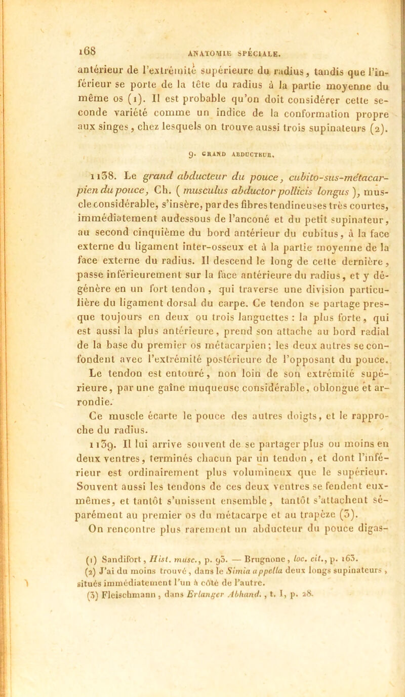 antérieur de l’e-xlréiuitc supérieure du radius, taudis que l’in- férieur se porte de la tête du radius à la partie moyenne du même os (i). 11 est probable qu’on doit considérer celte se- conde variété comme un indice de la conformation propre aux singes, chez lesquels on trouve aussi trois supinateurs (2). I 9. CRANO ABDDCTBDB, 1138. Le ^rand abducteur du pouce ^ cubito-sus-métacar- pien du pouce, Ch. ( rnusculus abductor pollicis longus ), mus- cle considérable, s’insère, par des fibres tendineuses très courtes, immédiatement audessous de l’anconé et du petit supinateur, au second cinquième du bord antérieur du cubitus, à la face externe du ligament inter-osseux et à la partie snoyenne de la face externe du radius. I! descend le long de celle dernière, passe inférieurement sur la face antérieure du radius, et y dé- génère en un fort tendon, qui traverse une division particu- lière du ligament dorsal du carpe. Ce tendon se partage pres- que toujours en deux ou trois languettes : la plus forte, qui est aussi la plus antérieure, prend son attache au bord radial de la base du premier os métacarpien; les deux autres se con- fondent avec l’extrémité postérieure de l’opposant du pouce. Le tendon est entouré, non loin de son extrémité supé- rieure, par une gaine muqueuse considérable, oblongue et ar- rondie. Ce muscle écarte le pouce des autres doigts, et le rappro- che du radius. 1 iSg. Il lui arrive souvent de se partager plus ou moins en deux ventres, terminés chacun par un tendon , et dont l’infé- rieur est ordinairement plus volumineux que le supérieur. Souvent aussi les tendons de ces deux ventres se fendent eux- mêmes, et tantôt s’unissent ensemble, tantôt s’attachent sé- parément au premier os du métacarpe et au trapèze (5). On rencontre plus rarement nn abducteur du pouce digas- (1) Sandifort, Ilist. musc., p. ijô. — Brugnone, loc. ctt.,p. i63. (2) J’ai du moins trouve , dans le Simia appella deux longs supinateurs , situés immédiatement l’un h côté de l’autre. (3) Fleischmann, dans Erlanger .4bhand,, t. I, p. atS.