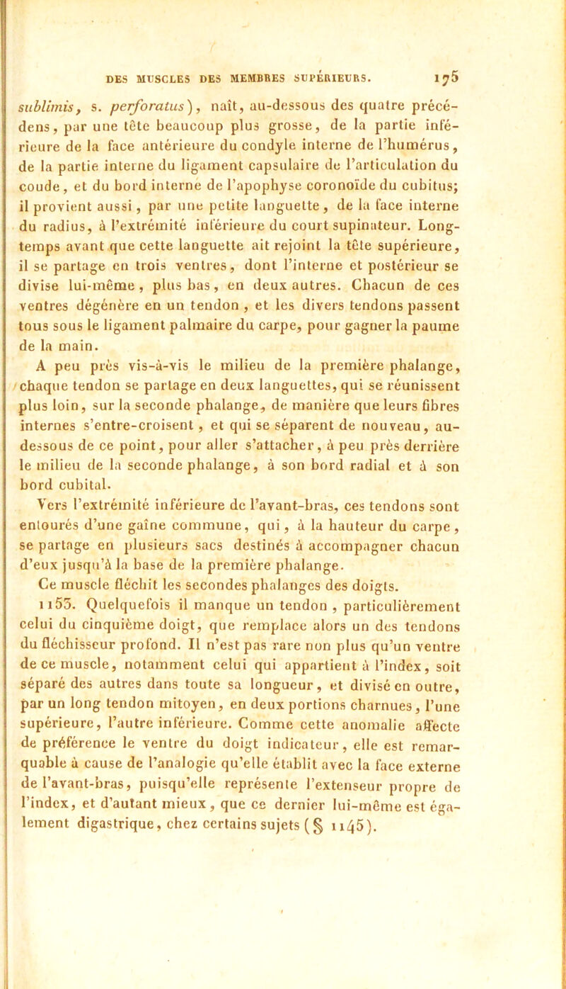 sublimis, s. perforatus), naît, au-dessous des quatre précé- dens, par une tète beaucoup plus grosse, de la partie infé- rieure de la face antérieure du condyle interne de l’humérus, de la partie interne du ligament capsulaire de l’articulation du coude, et du bord interne de l’apophyse coronoïde du cubitus; il provient aussi, par une petite languette, de la face interne du radius, à l’extrémité inférieure du court supinateur. Long- temps avant que cette languette ait rejoint la tête supérieure, il se partage en trois ventres, dont l’interne et postérieur se divise lui-même, plus bas, en deux autres. Chacun de ces ventres dégénère en un tendon , et les divers tendons passent tous sous le ligament palmaire du carpe, pour gagner la paume de la main. A peu près vis-à-vis le milieu de la première phalange, chaque tendon se partage en deux languettes, qui se réunissent plus loin, sur la seconde phalange, de manière que leurs fibres internes s’entre-croisent, et qui se séparent de nouveau, au- dessous de ce point, pour aller s’attacher, à peu près derrière le milieu de la seconde phalange, à son bord radial et à son bord cubital. Vers l’extrémité inférieure de l’avant-hras, ces tendons sont entourés d’une gaine commune, qui, à la hauteur du carpe, se partage en plusieurs sacs destinés à accompagner chacun d’eux jusqu’à la base de la première phalange. Ce muscle fléchit les secondes phalanges des doigts. Il55. Quelquefois il manque un tendon , particulièrement celui du cinquième doigt, que remplace alors un des tendons du fléchisseur profond. Il n’est pas rare non plus qu’un ventre de ce muscle, notamment celui qui appartient à l’index, soit séparé des autres dans toute sa longueur, et divisé en outre, par un long tendon mitoyen, en deux portions charnues, l’une supérieure, l’autre inférieure. Comme cette anomalie affecte de préférence le ventre du doigt indicateur, elle est remar- quable à cause de l’analogie qu’elle établit avec la face externe de l’avant-bras, puisqu’elle représente l’extenseur propre de l’index, et d’autant mieux, que ce dernier lui-même est éga- lement digastrique, chez certains sujets (§ ii45).