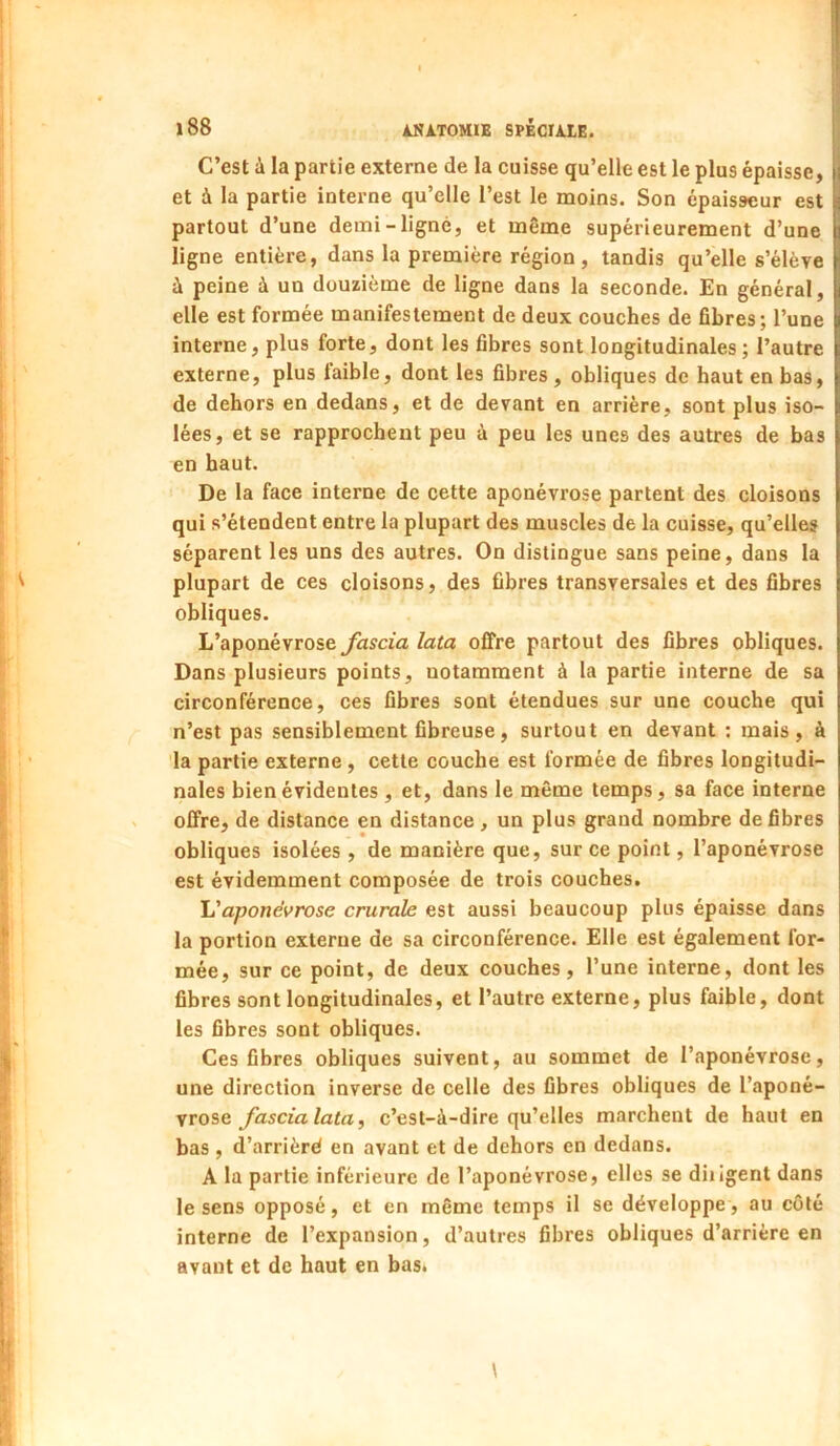 C’est à la partie externe de la cuisse qu’elle est le plus épaisse, et à la partie interne qu’elle l’est le moins. Son épaisseur est partout d’une demi-ligné, et même supérieurement d’une ligne entière, dans la première région, tandis qu’elle s’élève à peine à un douzième de ligne dans la seconde. En général, elle est formée manifestement de deux couches de fibres; l’une interne, plus forte, dont les fibres sont longitudinales ; l’autre externe, plus taible, dont les fibres , obliques de haut en bas, de dehors en dedans, et de devant en arrière, sont plus iso- lées, et se rapprochent peu à peu les unes des autres de bas en haut. De la face interne de cette aponévrose partent des cloisons qui s’étendent entre la plupart des muscles de la cuisse, qu’elles séparent les uns des autres. On distingue sans peine, dans la plupart de ces cloisons, des fibres transversales et des fibres obliques. L’aponévrose fascia lata offre partout des fibres obliques. Dans plusieurs points, notamment à la partie interne de sa circonférence, ces fibres sont étendues sur une couche qui n’est pas sensiblement fibreuse, surtout en devant ; mais, à la partie externe , cette couche est formée de fibres longitudi- nales bien évidentes , et, dans le même temps, sa face interne offre, de distance en distance, un plus grand nombre défibrés obliques isolées , de manière que, sur ce point, l’aponévrose est évidemment composée de trois couches. aponévrose crurale est aussi beaucoup plus épaisse dans la portion externe de sa circonférence. Elle est également for- mée, sur ce point, de deux couches, l’une interne, dont les fibres sont longitudinales, et l’autre externe, plus faible, dont les fibres sont obliques. Ces fibres obliques suivent, au sommet de l’aponévrose, une direction inverse de celle des fibres obliques de l’aponé- vrose fascialata, c’est-à-dire qu’elles marchent de haut en bas , d’arriéré en avant et de dehors en dedans. A la partie inférieure de l’aponévrose, elles se diligent dans le sens opposé, et en même temps il se développe, au côté interne de l’expansion, d’autres fibres obliques d’arrière en avant et de haut en bas.