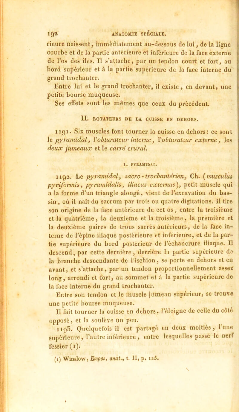 rieure naissent, immédiatement au-dessous de lui, de la ligne courbe et de là partie antérieure et inférieure de la face externe de l’os des îles. Il s’attache, par un tendon court et fort, au bord supérieur et à la partie supérieure de la face interne du grand trochanter. Entre lui et le grand trochanter, il existe, en deyant, une petite bourse muqueuse. Ses effets sont les mêmes que ceux du précédent. II. BOTATEOES DE LA CUISSE EN DEHORS. 1191. Six muscles font tourner la cuisse en dehors: ce sont le pyramidal, Vobturateur interne, Vobturateur externe, les deux jumeaux et le carré crural. 1. PYRAMIDAL. 1192. Le pyramidal, sacro-trochantérien, Ch. {^muscuius pyriforrnis, pyramidalis, iliacus extemus), petit muscle qui a la forme d’un triangle alongé, vient de l’excavation du bas- sin , où il naît du sacrum par trois ou quatre digitations. Il tire son origine de la face antérieure de cet os, entre la troisième et la quatrième, la deuxième et la troisième, la première et la deuxième paires de trous sacrés antérieurs, de la face in- terne de l’épine iliaque postérieure et inférieure, et de la par- tie supérieure du bord postérieur de l’échancrure iliaque. Il descend, par cette dernière, derrière la partie supérieure do la branche descendante de l’ischion, se porte en dehors et en avant, et s’attache, par un tendon proportionnellement assez long, arrondi et fort, au sommet et à la partie supérieure de la face interne du grand trochanter. Entre son tendon et le muscle jumeau supérieur, se trouve une petite bourse muqueuse. Il fait tourner la cuisse en dehors, l’éloigne de celle du côté opposé, et la soulève un peu. 1193. Quelquefois il est partagé en deux moitiés, l’une supérieure, l’autre inférieure, entre lesquelles passe le nerf fessier (i). (1) Winslow, Expos, anat., t. Il, p. ia5.