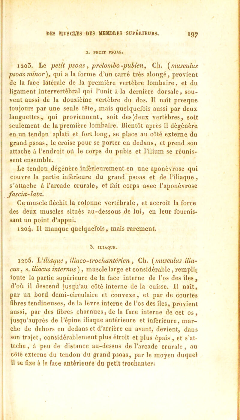 *9? 3. PETIT PSOAS. 12o5. Le petit psoas, prélombo-pubien, Ch. [muscuîus psoas minor), qui a la forme d’un carré très alongé, provient de la face latérale de la première vertèbre lombaire, et du ligament intervertébral qui l’unit à la dernière dorsale, sou- vent aussi de la douzième vertèbre du dos. Il naît presque toujours par une seule tête, mais quelquefois aussi par deux languettes, qui proviennent, soit des [deux vertèbres, soit seulement de la première lombaire. Bientôt après il dégénère en un tendon aplati et fort long, se place au côté externe du grand psoas, le croise pour se porter en dedans, et prend son attache à l’endroit où le corps du pubis et l’ilium se réunis- sent ensemble. Le tendon dégénère inférieurement en une aponévrose qui couvre la partie inférieure du grand psoas et de l’iliaque, s’attache à l’arcade crurale, et fait corps avec l’aponévrose fascia-lata. Ce muscle fléchit la colonne vertébrale, et accroît la force des deux muscles situés au-dessous de lui, en leur fournis- sant un point d’appui. 1204. Il manque quelquefois, mais rarement. 3. ILIAQUE. 1205. iliaque, iliaco-trochantërien , Ch, [musculus ilia- cus, s, iliacus intemus ), muscle large et considérable, remplit toute la partie supérieure de la face interne de l’os des îles , d’où il descend jusqu’au côté interne de la cuisse. Il naît, par un bord demi-circulaire et convexe, et par de courtes fibres tendineuses, de la lèvre interne de l’os des îles, provient aussi, par des fibres charnues, de la face interne de cet os, jusqu’auprès de l’épine iliaque antérieure et inférieure, mar- che de dehors en dedans et d’arrière en avant, devient, dans son trajet, considérablement plus étroit et plus épais , et s’at- tache , à peu de distance au-dessus de l’arcade crurale, au côté externe du tendon du grand psoas, par le moyen duquel il 8c fixe à la face antérieure du petit trochanter»