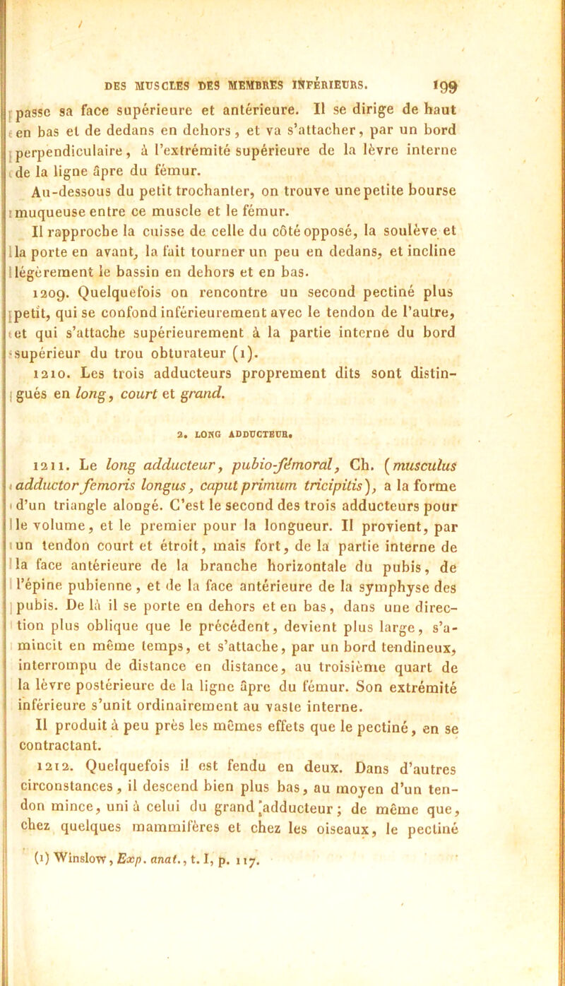 / , DES MDSCtES DES MEMBRES ÏSPÉRIEDRS. iQg f passe sa face supérieure et antérieure. Il se dirige de haut een bas et de dedans en dehors, et va s’attacher, par un bord J perpendiculaire, à l’extréraité supérieure de la lèvre interne ede la ligne 5pre du fémur. Au-dessous du petit trochanter, on trouve une petite bourse I muqueuse entre ce muscle et le fémur. Il rapproche la cuisse de celle du côté opposé, la soulève et lia porte en avant, la fait tourner un peu en dedans, et incline llégèrement le bassin en dehors et en bas. 1209. Quelquefois on rencontre un second pectiné plus {petit, qui se confond inférieurement avec le tendon de l’autre, tet qui s’attache supérieurement à la partie interne du bord 'Supérieur du trou obturateur (1). 1210. Les trois adducteurs proprement dits sont distin- j gués en long, court et grand. a. LORG addücxbdb. 1211. Le long adducteur, pubio-fëmoral, Ch. (musculus i adductor femoris longus, caputprimum tricipitis), a la forme • d’un triangle alongé. C’est le second des trois adducteurs pour Ile volume, et le premier pour la longueur. Il provient, par lun tendon court et étroit, mais fort, de la partie interne de lia face antérieure de la branche horizontale du pubis, de 1 l’épine pubienne, et de la face antérieure de la symphyse des I pubis. De là il se porte en dehors et en bas, dans une direc- I tion plus oblique que le précédent, devient plus large, s’a- 1 mincit en même temps, et s’attache, par un bord tendineux, interrompu de distance en distance, au troisième quart de la lèvre postérieure de la ligne âpre du fémur. Son extrémité inférieure s’unit ordinairement au vaste interne. Il produit à peu près les mêmes effets que le pectiné, en se contractant. 1212. Quelquefois il est fendu en deux. Dans d’autres circonstances, il descend bien plus bas, au moyen d’un ten- don mince, uni à celui du grand'adducteur ; de même que, chez quelques mammifères et chez les oiseaux, le pectiné (1) Winslow, (Eas/î. tmaf., 1.1, p. 117. I i i i