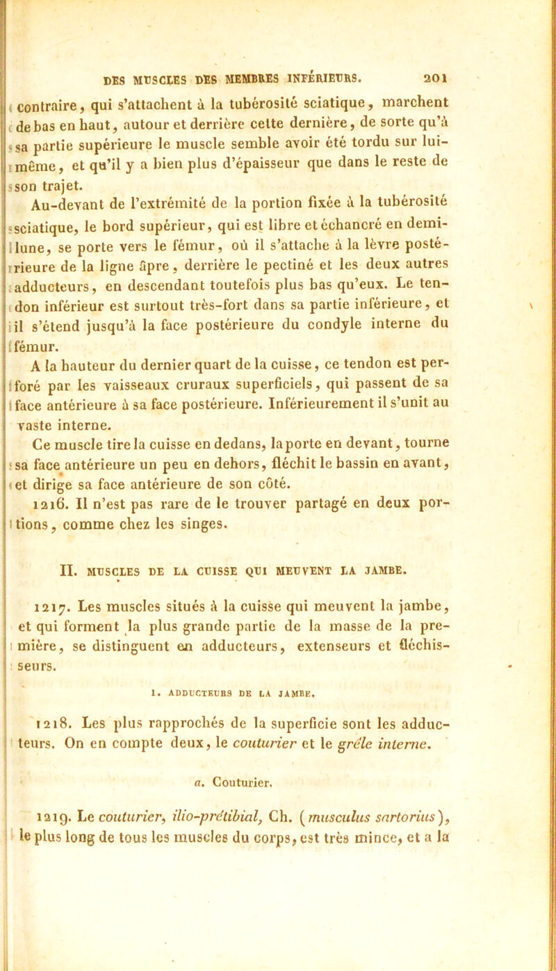 (Contraire, qui s’attachent à la tubérosité sciatique, marchent c de bas en haut, autour et derrière cette dernière, de sorte qu’à s sa partie supérieure le muscle semble avoir été tordu sur lui- imême, et qu’il y a bien plus d’épaisseur que dans le reste de s son trajet. Au-devant de l’extrémité de la portion fixée à la tubérosité «sciatique, le bord supérieur, qui est libre etéchancré en demi- llune, se porte vers le fémur, où il s’attache à la lèvre posté- rrieure de la ligne Spre, derrière le pectiné et les deux autres (adducteurs, en descendant toutefois plus bas qu’eux. Le ten- (don inférieur est surtout très-fort dans sa partie inférieure, et iil s’étend jusqu’à la face postérieure du condyle interne du 1 fémur. A la hauteur du dernier quart de la cuisse, ce tendon est per- Iforé par les vaisseaux cruraux superficiels, qui passent de sa Iface antérieure à sa face postérieure. Inférieurement il s’unit au vaste interne. Ce muscle tire la cuisse en dedans, laporte en devant, tourne ‘sa face antérieure un peu en dehors, fléchit le bassin en avant, «et dirige sa face antérieure de son côté. 1216. Il n’est pas rare de le trouver partagé en deux por- tions, comme chez les singes. II. MTJSCIES DE LA CUISSE QUI MEUVENT LA JAMBE. 1217. Les muscles situés à la cuisse qui meuvent la jambe, et qui forment la plus grande partie de la masse de la pre- I mière, se distinguent en adducteurs, extenseurs et ûéchis- ■ seurs. 1. ADDUCTKUB3 DE LA JAMBE, '1218. Les plus rapprochés de la superficie sont les adduc- I teurs. On en compte deux, le couturier et le grêle interne. a. Couturier. 121g. Le couturier, ilio-prétihial, Ch. [musculus snrtorius), 1 le plus long de tous les muscles du corps, est très mince, et a la