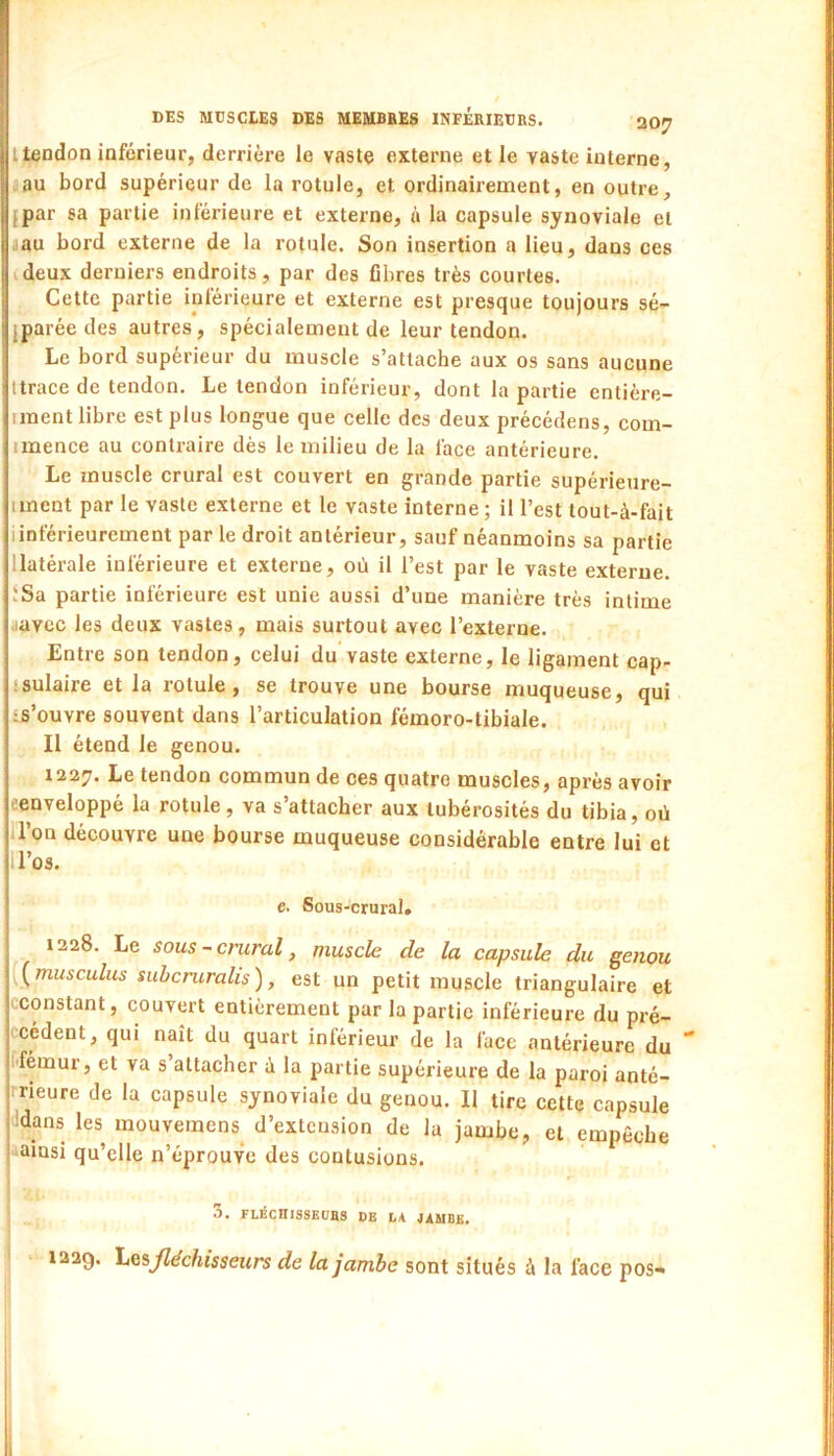 ttendon inférieur, derrière le vaste externe et le vaste interne, lau bord supérieur de la rotule, et ordinairement, en outre, {par sa partie inlérieure et externe, n la capsule synoviale et jau bord externe de la rotule. Son insertion a lieu, dans ces ideux derniers endroits, par des fibres très courtes. Cette partie inlérieure et externe est presque toujours sé- {parée des autres, spécialement de leur tendon. Le bord supérieur du muscle s’attache aux os sans aucune ttrace de tendon. Le tendon inférieur, dont bipartie entière- iment libre est plus longue que celle des deux précédons, com- imence au contraire dès le milieu de la lace antérieure. Le muscle crural est couvert en grande partie supérieure- imcnt par le vaste externe et le vaste interne; il l’est tout-à-fait iinférieurement par le droit antérieur, sauf néanmoins sa partie 1 latérale inlérieure et externe, où il l’est par le vaste externe. îSa partie inférieure est unie aussi d’une manière très intime Jüvec les deux vastes, mais surtout avec l’externe. Entre son tendon, celui du vaste externe, le ligament cap- jsulaire et la rotule, se trouve une bourse muqueuse, qui is’ouvre souvent dans l’articulation fémoro-tibiale. Il étend le genou. 1227. Le tendon commun de ces quatre muscles, après avoir eenveloppé la rotule, va s’attacher aux tubérosités du tibia, où lion découvre une bourse muqueuse considérable entre lui et ll’os. c. Sous-crural, 1228. Le sous-crural, muscle de la capsule du genou [^musculus suhcruralis), est un petit muscle triangulaire et ^constant, couvert entièrement par la partie inférieure du pré- rccdent, qui naît du quart inférieur de la face antérieure du ■* fémur, et va s attacher à la partie supérieure de la paroi anté- rrieure de la capsule synoviale du genou. Il tire cette capsule jidans les mouvemens_ d’extension de la jambe, et empêche j ainsi qu’elle n’éprouve des contusions, i 3. FLÉCniSSKÜBS DE LA JAMBE. 1229. liGiJléchisseurs de la jambe sont situés à la face pos« I