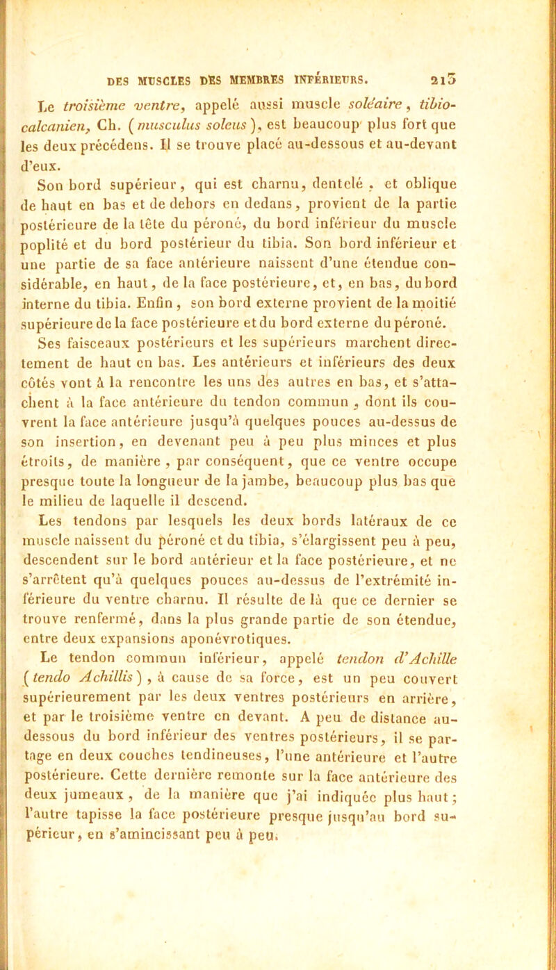 IjC troisième ventre, appelé aussi muscle soléaire, tihio-- calcanien. Ch. (rnusculus soleus), est beaucoup' plus fort que les deux précédeiis. Il se trouve placé au-dessous et au-devant d’eux. Son bord supérieur, qui est charnu, dentelé , et oblique de haut en bas et de dehors en dedans, provient de la partie postérieure de la tête du péroné, du bord inférieur du muscle poplité et du bord postérieur du tibia. Son bord inférieur et une partie de sa face antérieure naissent d’une étendue con- sidérable, en haut, de la face postérieure, et, en bas, du bord interne du tibia. Enfln , son bord externe provient de la moitié supérieure de la face postérieure et du bord externe du péroné. Ses faisceaux postérieurs et les supérieurs marchent direc- tement de haut en bas. Les antérieurs et inférieurs des deux côtés vont à la rencontre les uns des autres en bas, et s’atta- chent à la face antérieure du tendon commun , dont ils cou- vrent la face antérieure jusqu’il quelques pouces au-dessus de son insertion, en devenant peu à peu plus minces et plus étroits, de manière, par conséquent, que ce ventre occupe presque toute la longueur de la jambe, beaucoup plus bas que le milieu de laquelle il descend. Les tendons par lesquels les deux bords latéraux de ce muscle naissent du péroné et du tibia, s’élargissent peu à peu, descendent sur le bord antérieur et la face postérieure, et ne s’arrêtent qu’à quelques pouces au-dessus de l’extrémité in- férieure du ventre charnu. Il résulte de là que ce dernier se trouve renfermé, dans la plus grande partie de son étendue, entre deux expansions aponévrotiques. Le tendon commun inférieur, appelé tendon d’Achille i^tendo Achillis) , à cause de sa force, est un peu couvert supérieurement par les deux ventres postérieurs en arrière, et par le troisième ventre en devant. A peu de distance au- dessous du bord inférieur des ventres postérieurs, il se par- tage en deux couches tendineuses, l’une antérieure et l’autre postérieure. Cette dernière remonte sur la face antérieure des deux jumeaux, de la manière que j’ai indiquée plus haut; l’autre tapisse la face postérieure presque jusqu’au bord su- périeur, en s’amincissant peu à peu.