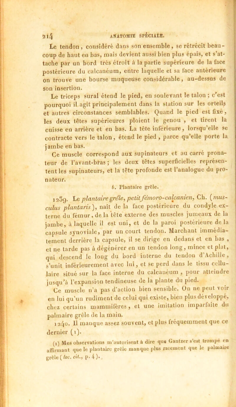 Le tendon , considéré dans son ensemble, se rétrécit beau- coup de haut en bas, mais devient aussi bien plus épais, et s’at- tache par un bord très étroit à la partie supérieure de la face postérieure du calcanéum, entre laquelle et sa face antérieure on trouve une bourse muqueuse considérable, au-dessus de son insertion. Le triceps sural étend le pied, en soulevant le talon ; c’est pourquoi il agit principalement dans la station sur les orteils et autres circonstances semblables. Quand le pied est fixé, les deux têtes supérieures ploient le genou , et tirent la cuisse en arrière et en bas. La tête inférieure, lorsqu’elle se contracte vers le talon, étend le pied, parce qu’elle porte la jambe en bas. Ce muscle correspond aux supinateurs et au carré prona- teur de l’avant-bras ; les deux têtes superficielles représen- tent les supinateurs, et la tête profonde est l’analogue du prô- na teur. b. Plantaire grêle. 125g. Le plantaire grêle, petit fënioro-calcanien. Ch. ( inus- culus plantaris), naît de la face postérieure du condyle ex- terne du fémur, de la tête externe des muscles jumeaux de la jambe, i\ laquelle il est uni, et de la paroi postérieure de la capsule synoviale, par un court tendon. Marchant immédia- tement derrière la capsule, il se dirige en dedans et en bas , et ne tarde pas à dégénérer en un tendon long, mince et plat, qui descend le long du bord interne du tendon d’Achille, s’unit inférieurement avec lui, et se perd dans le tissu cellu- laire situé sur la face interne du calcanéum , pour atteindre jusqu’à l’expansion tendineuse de la plante du pied. Ce muscle n’a pas d’action bien sensible. On ne peut voir en lui qu’un rudiment de celui qui existe, bien plus développé, chez certains mammifères , et une imitation imparfaite du palmaire grêle de la main. 1240. 11 manque assez souvent, et plus Iréquemment que ce dernier (1). (1) Mes observations m’autorisent à dire que Gantier s’est trompé en affirmant que le plantaire grêle manque plus rarement que le palmaire grêle ( toc. cil,, p- 4 )•,