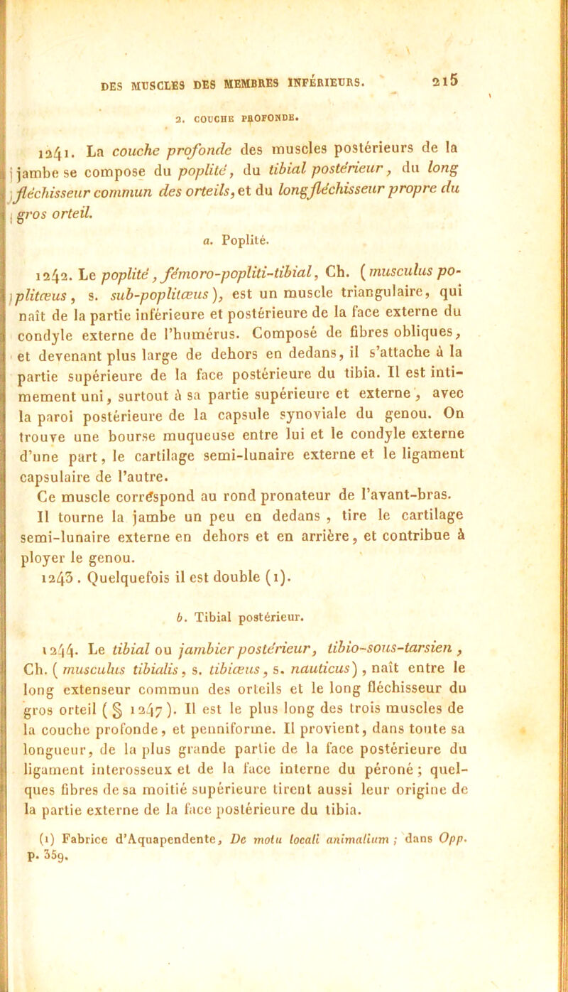 a. COUCHE PflOFONDB. ia4i. La couche profonde des muscles postérieurs de la j jambe se compose du poplité, du tibicil postérieur, du long ^fléchisseur commun des orteils, et du longjléchisseur propre du j gros orteil. a. Poplité. 1242. Le poplité, fémoro-popliti-tibial, Ch. {musculus po- jplitœus , s. sub-poplitœus ), est un muscle triangulaire, qui naît de la partie inférieure et postérieure de la face externe du condyle externe de l’humérus. Composé de fibres obliques, ■ et devenant plus large de dehors en dedans, il s’attache à la partie supérieure de la face postérieure du tibia. II est inti- mement uni, surtout t\ sa partie supérieure et externe , avec la paroi postérieure de la capsule synoviale du genou. On trouve une bourse muqueuse entre lui et le condyle externe d’une part, le cartilage semi-lunaire externe et le ligament capsulaire de l’autre. Ce muscle corréspond au rond pronateur de l’avant-bras. Il tourne la jambe un peu en dedans , tire le cartilage semi-lunaire externe en dehors et en arrière, et contribue à ployer le genou. 1243 . Quelquefois il est double (1). b. Tibial postérieur. 1244- tibial 00 jambier postérieur, tibio~sous-tarsieii, Ch. ( musculus tibialis, s. tibiœus, s. nauticus'), naît entre le long extenseur commun des orteils et le long fléchisseur du gros orteil (§ 1247). Il est le plus long des trois muscles de la couche profonde, et penniforme. Il provient, dans toute sa longueur, de la plus grande partie de la face postérieure du ligament interosseux et de la face interne du péroné ; quel- ques fibres de sa moitié supérieure tirent aussi leur origine de la partie externe de la face postérieure du tibia. (1) Fabrice d’Aquapendente, De molu tocali animaUum ; dans 0pp. p. 359.