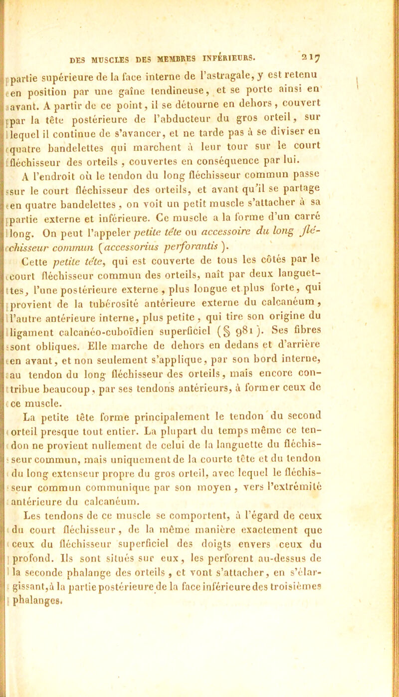 f partie supérieure de la face interne de l’astragale, y est retenu een position par une gaine tendineuse, et se porte ainsi en’ aavant. A partir de ce point, il se détourne en dehors , couvert jpar la tête postérieure de l’abducteur du gros orteil, sur 1 lequel il continue de s’avancer, et ne tarde pas à se diviser en fquatre bandelettes qui marchent à leur tour sur le court ffléchisseur des orteils , couvertes en conséquence par lui. A l’endroit où le tendon du long fléchisseur commun passe ssur le court fléchisseur des orteils, et avant qu’il se partage een quatre bandelettes, on voit un petit muscle s’attacher à sa fparlie externe et inférieure. Ce muscle a la forme d un carré Hong. On peut l’appeler/jeWe tête ou accessoire du long Jlê- cchisseur commun ^accessorius perforantis ). Cette petite tête, qui est couverte de tous les côtés par le icourt fléchisseur commun des orteils, naît par deux languet- ttes, l’une postérieure externe , plus longue et plus forte, qui [provient de la tubérosité antérieure externe du calcanéum, H’autre antérieure interne, plus petite, qui tire son origine du lligainent calcanéo-cuboïdien superficiel (§ 981). Ses fibres ;sont obliques. Elle marche de dehors en dedans et d arrière len avant, et non seulement s’applique, par son bord interne, .au tendon du long fléchisseur des orteils, mais encore con- ttribue beaucoup, par ses tendons antérieurs, à former ceux de (ce muscle. La petite tète forme principalement le tendon du second ( orteil presque tout entier. La plupart du temps même ce ten- cdon ne provient nullement de celui de la languette du fléchis- 'seur commun, mais uniquement de la courte tête et du tendon ( du long extenseur propre du gros orteil, avec lequel le fléchis- ■seur commun communique par son moyen, vers l’extrémité antérieure du calcanéum. Les tendons de ce muscle se comportent, à l’égard de ceux idu court fléchisseur, de la même manière exactement que (ceux du fléchisseur superficiel des doigts envers ceux du [profond. Ils sont situés sur eux, les perforent au-dessus de lia seconde phalange des orteils , et vont s’attacher, en s’élar- gissant,à la partie postérieure de la face inférieure des troisièmes I phalanges.