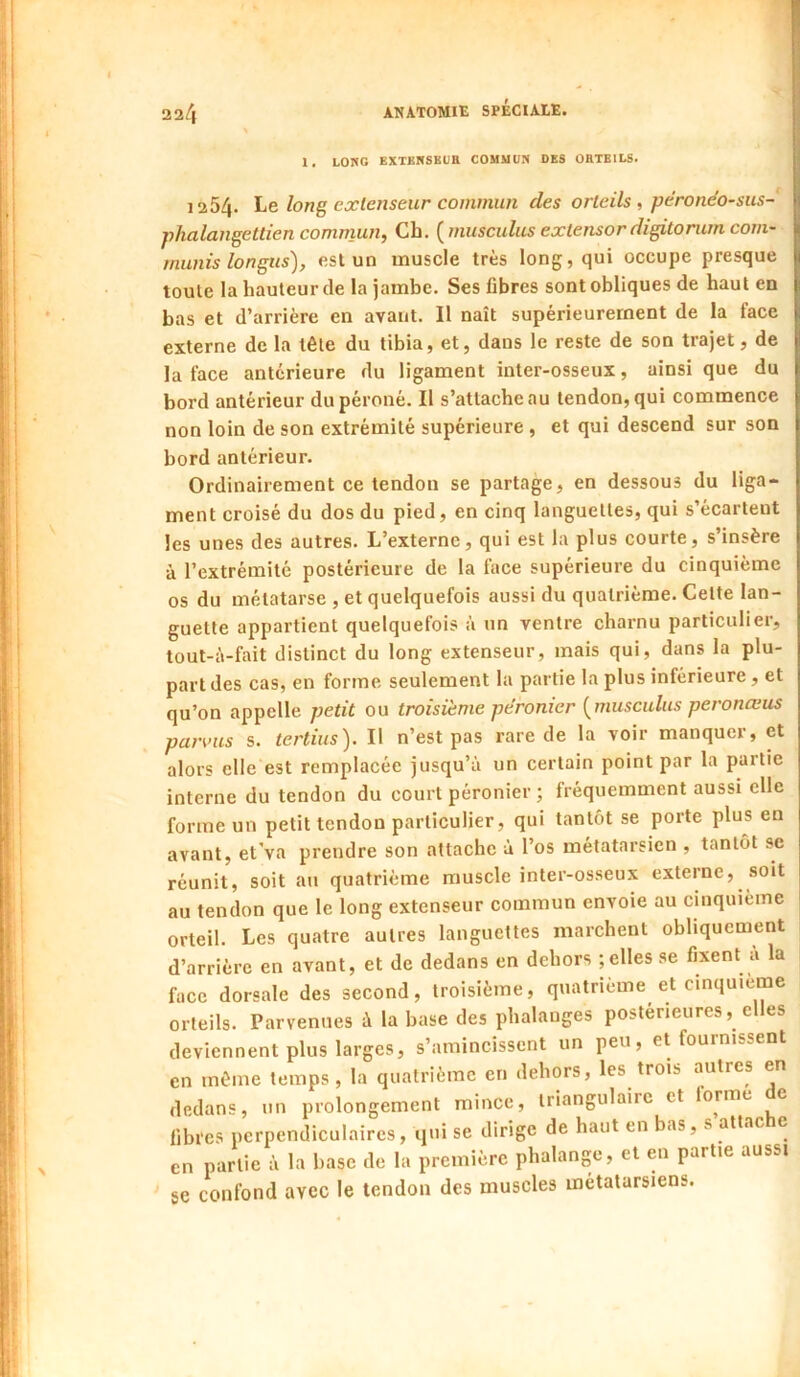 1. LONG EXTKNSBUB COMMUN DES ORTEILS. fl 1254. Le loTiQ extenseur commun des orteils, perone’o-sus- phalangettien commun. Ch. {musculus extensor digitonim com- rnunis longus), est un muscle très long, qui occupe presque toute la hauteur (le la jambe. Ses fibres sont obliques de haut en bas et d’arrière en avant. Il naît supérieurement de la face externe de la tête du tibia, et, dans le reste de son trajet, de la face anterieure du ligament inter-osseux, ainsi que du bord antérieur du péroné. Il s’attache au tendon, qui commence non loin de son extrémité supérieure , et qui descend sur son bord antérieur. Ordinairement ce tendon se partage, en dessous du liga- ment croisé du dos du pied, en cinq languettes, qui s’écartent les unes des autres. L’externe, qui est la plus courte, s’insère à l’extrémité postérieure de la face supérieure du cinquième os du métatarse , et quelquefois aussi du quatrième. Celte lan- guette appartient quelquefois à un ventre charnu particulier, tout-à-fait distinct du long extenseur, mais qui, dans la plu- part des cas, en forme seulement la partie la plus inférieure, et qu’on appelle petit ou troisième péronier {musculus peronœus pannes s. te?'tius). Il n’est pas rare de la voir manquer, et alors elle est remplacée jusqu’à un certain point par la partie interne du tendon du court péronier ; fréquemment aussi elle forme un petit tendon particulier, qui tantôt se porte plus en avant, et’va prendre son attache à l’os métatarsien , tantôt se réunit, soit an quatrième muscle inter-osseux externe, soit au tendon que le long extenseur commun envoie au cinquième orteil. Les quatre autres languettes marchent obliquement d’arrière en avant, et de dedans en dehors ; elles se fixent a la face dorsale des second, troisième, quatrième et cinquième orteils. Parvenues à la base des phalanges postérieures, elles deviennent plus larges, s’amincissent un peu, eaournissent en môme temps , la quatrième en dehors, les trois autres en dedans, un prolongement mince, triangulaire et orme e fibres perpendiculaires, qui se dirige de haut en bas, s attac e en partie à la base de la première phalange, et en partie aussi ge confond avec le tendon des muscles métatarsiens.