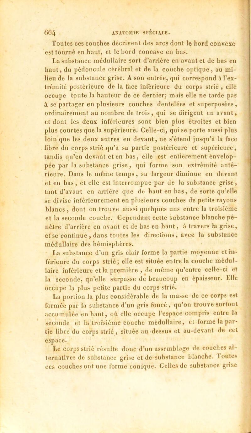 Toutes CCS couches décrivent des arcs dont le bord convexe est tourné en haut, et le bord concave en bas. La substance médullaire sort d’arrière en avant et de bas en haut, du pédoncule cérébral et de la couche optique, au mi- lieu de la substance grise. A son entrée, qui correspond à l’ex- trémité postérieure de la face inférieure du corps strié , elle occupe toute la hauteur de ce dernier; mais elle ne larde pas à SC partager en plusieurs couches dentelées et superposées, ordinairement au nombre de trois, qui se dirigent en avant, et dont les deux inférieures sont bien plus étroites et bien plus courtes que la supérieure. Celle-ci, qui se porte aussi plus loin que les deux autres en devant, ne s’étend jusqu’à la face libre du corps strié qu’à sa partie postérieure et supérieure, tandis qu’en devant et en bas, elle est entièrement envelop- pée par la substance grise, qui forme son extrémité anté- rieure. Dans le même temps, sa largeur diminue en devant et eu bas, et elle est interrompue par de la substance grise, tant d’avant en arrière que de haut en bas, de sorte qu’elle se divise inférieurement en plusieurs couches de petits rayons blancs, dont on trouve aussi quelques uns entre la troisième et la seconde couche. Cependant celte substance blanche pé- nètre d’arrière en avant et de bas en haut, à travers la grise, et se continue , dans toutes les directions, avec la substance médullaire des hémisphères. La substance d’un gris clair forme la partie moyenne et in- férieure du corps strié; elle est située entre la couche médul- laire inférieure et la première , de même qu’entre celle-ci et la seconde, qu’elle surpasse de beaucoup en épaisseur. Elle occupe la plus petite partie du corps strié. La portion la plus considérable de la masse de ce corps est formée par la substance d’un gris foncé, qu’on trouve surtout accumulée en haut, où elle occupe l’espace compris entre la seconde et la troisième couche médullaire, et forme la par- tie libre du corps strié , située au-dessus et au-devant de cet espace. Le corps strié résulte donc d’un assemblage de couches al- ternatives de substance grise et de substance blanche, loutes ces couches ont une forme conique. Celles de substance gris«