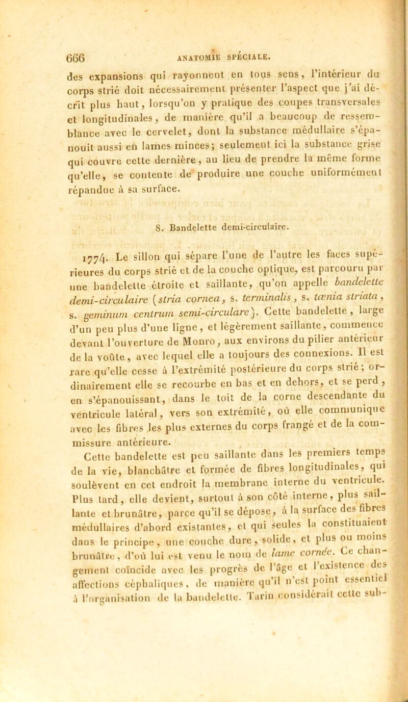 des expansions qui rayonnent en tous sens, l’intérieur du corps strié doit nécessairement présenter l’aspect que j’ai dé- crit plus haut, lorsqu’on y pratique des coupes transversales et longitudinales, de manière qu’il a beaucoup de ressem- blance avec le cervelet, dont la substance médullaire s’épa- nouit aussi en lames minces; seulement ici la substance grise qui couvre cette dernière, au lieu de prendre la même forme qu’elle, se contente de produire une couche uniformément répandue à sa surlace. 8. Bandelette demi-circulaire. 177/i. Le sillon qui sépare runc de l’autre les faces supé- rieures du corps strié et de la couche optique, est parcouru pur une bandelette étroite et saillante, qu’on appelle bandelette demi-circulaire [stria cornea^ s. terminalis, s. teenia striata, s. geminum cenlnim semi-circulare). Cette bandelette, large d’un peu plus d’une ligne, et légèrement saillante, commence devant l’ouverture de Monro, aux environs du pilier antérieur de la voûte, avec lequel elle a toujours des connexions. Il est rare qu’elle cesse à l’extrémité postérieure du corps strié; or- dinairement elle se recourbe en bas et en dehors, et se perd , en s’épanouissant, dans le toit de la corne descendante du ventricule latéral, vers son extrémité, où elle communique avec les fibres les plus externes du corps frangé et de la com- missure antérieure. Cette bandelette est peu saillante dans les premiers temps de la vie, blanchâtre et formée de fibres longitudinales, qui soulèvent en cet endroit la membrane interne du ventricule. Plus tard, elle devient, surtout à son côté interne, plus sail- lante et brunâtre, parce qu’il se dépose, i la surface des fibres médullaires d’abord existantes, cl qui seules la constituaient dans le principe, une couche dure, solide, et plus ou moins brunâtre, d’où lui est venu le nom de ïame cornée. Ce chan gement coïncide avec les progrès de l’âge et I existence des alTcclions céphaliques, de manière qu il n est point csscntic à l’organisation de la bundelclle. Tarin considérait cctlc sub