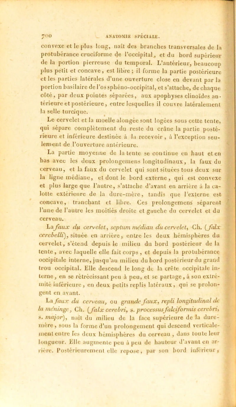 convexe et le plus long, naît des branches transversales de la protubérance crucirorme (}e l’occipital., et du bord supérieur de la portion pierreuse du temporal. L’antérieur, beaucoup plus petit et concave, est libre ; il forme la partie postérieure et les parties latérales d’une ouverture close en devant par la portion basilaire de l’os sphéno-occipilal, et s’attache, de chaque côté, par deux pointes séparées, aux apophyses clinoïdes an- térieure et postérieure, entre lesquelles il couvre latéralement la selle turcique. Le cervelet et la moelle alongée sont logées sous cette tente, qui sépare complètement du reste du crâne la partie posté- rieure et inférieure destinée à la recevoir , i l’exception seu- lement de l’ouverture antérieure. La partie moyenne de latente se continue en haut et en bas avec les deux prolongemens longitudinaux, la faux du cerveau, et la faux du cervelet qui sont situées tous deux sur la ligne médiane, et dont le bord externe, qui est convexe et plus large que l’autre, s’attache d’avant en arrière à la ca- lotte extérieure de la dure-mère, tandis que l’externe est concave, tranchant et libre. Ces prolongemens séparent l’une de l’autre les moitiés droite et gauche du cervelet et du cerveau. \u^faux du cer\>elel^ scplum nu!dian du cen>elet^ Ch. {^folx cere^»e//i), située en arrière, entre les deux hémisphères du cervelet, s’étend depuis le milieu du bord postérieur de la tente, avec laquelle elle fait corps, et depuis la protubérance occipitale interne, jusqu’au milieu du bord postérieur du grand trou occipital. Elle descend le long de la crête occipitale iiir terne, en se rétrécissant peu peu, et se partage, à son extré- mité inférieure, en deux petits replis latéraux, qui se prolon- gent en avant. La faux du cerveau, ou grande faux, repli longitudinal île la méninge, Ch. [faix cerebri, a.processusfalcformisccrebri, s. major), naît du milieu de la face supérieure de la dure- mère, sous la forme d’un prolongement qui descend verticale- mententre fes deux hémisphères du cerveau, dans toute leur longueur. Elle augmente peu à peu de hauteur d’avant en ar- rière, l’osléricuremenl elle repose, par son bord inférieur.