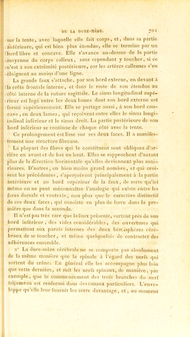 ‘Sur la tente, avec laquelle elle fait corps, et, dans sa partie . a'iitcrieure, qui est bien plus étendue, elle se termine par un I bord libre et concave. Elle s’avance au-dessus de la partie imoyenne du corps calleux, sans cependant y toucher, si ce m’est à son extrémité postérieure, car les artères calleuses s’en (éloignent au moins d’une ligne. La grande faux s’attache, par son bord externe, en devant à lia crête frontale interne, et dans le reste de son étendue au icfilé interne de la suture sagittale. Le sinus longitudinal supé^ I rieur est logé entre les deux lames dont son bord externe est I formé supérieurement. Elle se partage aussi, é son bord con- cave , en deux lames, qui reçoivent entre elles le sinus longi- tudinal inférieur et le sinus droit. La partie postérieure de son bord inférieur se continue de chaque côté avec la tente. Ce prolongement est lisse sur ses deux faces. II a manifes- tement une structure fibreuse. La plupart des fibres qui le constituent sont obliques d’ar- rière en avant et de bas en haut. Elles se rapprochent d’autant plus de la direction horizontale qu’elles deviennent plus anté- rieures. D’autres, en bien moins grand nomlire, et qui croi- sent les précédentes, s’aperçoivent principalement à bipartie antérieure et au bord supérieur de la faux, de sorte qu’ici même on ne peut méconnaître l’analogie qui existe entre les faces dorsale et ventrale, non plus que le caractère distinctif de ces deux faces, qui consiste en plus de force dans la pre- mière que dans la seconde. Il n’est pas très rare que la faux présente, surtout près de son bord inférieur, des vides considérables, des ouvertures qui permettent aux parois internes des deux hémisphères céré- braux de se toucher, et même quehjiiefois de contracter des adhérences ensemble. La dure-mère cérébrale ne se comporte pas absolument de la mCune manière que la spinale è l’égard des nerfs qui sortent du crâne. En général elle les accompagne plus loin que cette dernière, et suit les nerfs spinaux, de manière, pat- exemple, que le commencement des trois branches dn nerf trijumeau est renfermé dans descanaux particuliers. L’enve- loppe qu’elle leur fournit les serre davantage, et, au moment