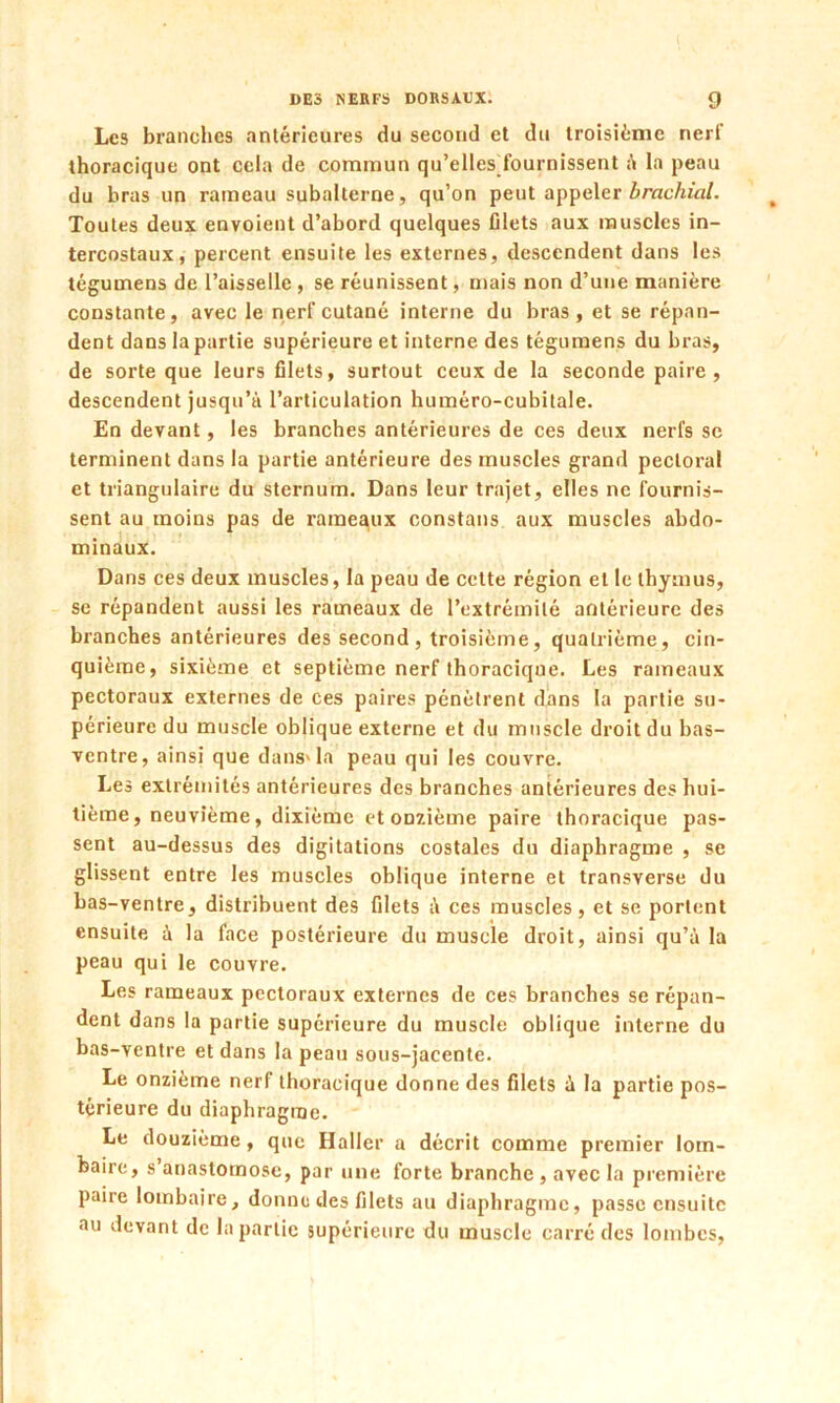 Les branches antérieures du second et du troisième nerf thoracique ont cela de commun qu’ellesTournissent à la peau du bras un rameau subalterne, qu’on peut appeler brachial. Toutes deux envoient d’abord quelques filets aux muscles in- tercostaux, percent ensuite les externes, descendent dans les tégumens de l’aisselle, se réunissent, mais non d’une manière constante, avec le nerf cutané interne du bras, et se répan- dent dans la partie supérieure et interne des tégumens du bras, de sorte que leurs filets, surtout ceux de la seconde paire, descendent jusqu’à l’articulation huméro-cubitale. En devant, les branches antérieures de ces deux nerfs se terminent dans la partie antérieure des muscles grand pectoral et triangulaire du sternum. Dans leur trajet, elles ne fournis- sent au moins pas de rameaux constans aux muscles abdo- minaux. Dans ces deux muscles, la peau de cette région et le thymus, se répandent aussi les rameaux de l’extrémité antérieure des branches antérieures des second, troisième, quatrième, cin- quième, sixième et septième nerf thoracique. Les rameaux pectoraux externes de ces paires pénètrent dans la partie su- périeure du muscle oblique externe et du muscle droit du bas- ventre, ainsi que dans* la peau qui les couvre. Les extrémités antérieures des branches antérieures des hui- tième, neuvième, dixième et onzième paire thoracique pas- sent au-dessus des digitations costales du diaphragme , se glissent entre les muscles oblique interne et transverse du bas-ventre, distribuent des filets à ces muscles, et se portent ensuite à la face postérieure du muscle droit, ainsi qu’à la peau qui le couvre. Les rameaux pectoraux externes de ces branches se répan- dent dans la partie supérieure du muscle oblique interne du bas-ventre et dans la peau sous-jacente. Le onzième nerf thoracique donne des filets à la partie pos- térieure du diaphragme. Le douzième, que Haller a décrit comme premier lom- baire, s’anastomose, par une forte branche , avec la première paire lombaire, donne des filets au diaphragme, passe ensuite au devant de bipartie supérieure du muscle carré des lombes,