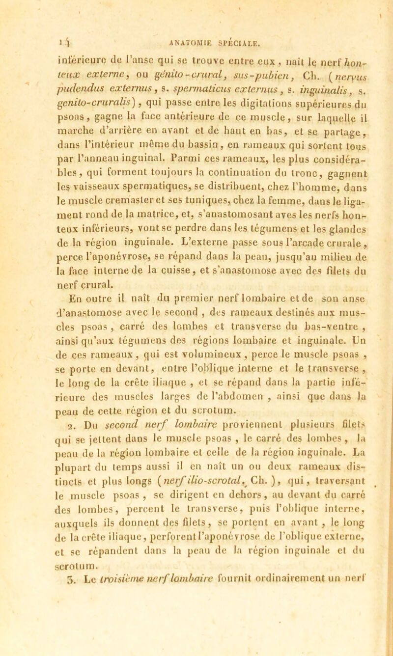 iniérieprc de l’anse qui se trouve entre eux , naît le nerf,hon- teux externe, ou genito - crural, sus-pubien, Ch. (neryus pudendus externus, s. spermaticus externus, s. inguinalis, s. genito-cruralis), qui passe entre les digitations supérieures du psoas, gagne la l'ace antérieure de ce muscle, sur laquelle il marche d’arrière en avant et de haut en bas, et se partage, dans l’intérieur même du bassin , en rameaux qui sortent tous par l’anneau inguinal. Parmi ces rameaux, les plus considéra- bles, qui forment toujours la continuation du tronc, gagnent les vaisseaux spermatiques, se distribuent, chez l’homme, dans le muscle cremasler et ses tuniques, chez la femme, dans le liga- ment rond de la matrice, et, s’anastomosant aves les nerfs hon- teux inférieurs, vont se perdre dans les tégumens et les glandes de la région inguinale. L’externe passe sous l’arcade crurale, perce l’aponévrose, se répand dans la peau, jusqu’au milieu de la face interne de la cuisse, et s’anastomose avec des filets du nerf crural. En outre il naît du premier nerf lombaire et de son anse d’anastomose avec le second , des rameaux destinés aux mus- cles psoas , carré des lombes et transverse du bas-ventre , ainsi qu’aux tégumens des régions lombaire et inguinale. Un de ces rameaux , qui est volumineux, perce le muscle psoas , se porte en devant, entre l’oblique interne et le transverse , le long de la crête iliaque , et se répand dans la partie infé- rieure des muscles larges de l’abdomen , ainsi que dans la peau de cette région et du scrotum. 2. Du second nerf lombaire proviennent plusieurs filets qui se jettent dans le muscle psoas , le carré des lombes, la peau de la région lombaire et celle de la région inguinale. La plupart du temps aussi il on naît un ou deux rameaux dis- tincts et plus longs (nerf ilio-scrotal,Ch.), qui, traversant le muscle psoas , se dirigent en dehors, au devant du carré des lombes, percent le transverse, puis l’oblique interne, auxquels ils donnent des filets, se portent en avant , le long de la crête iliaque, perforent l’aponévrose de l’oblique externe, et se répandent dans la peau de la région inguinale et du scrotum. 5. Le troisième nerf lombaire fournit ordinairement un nerf