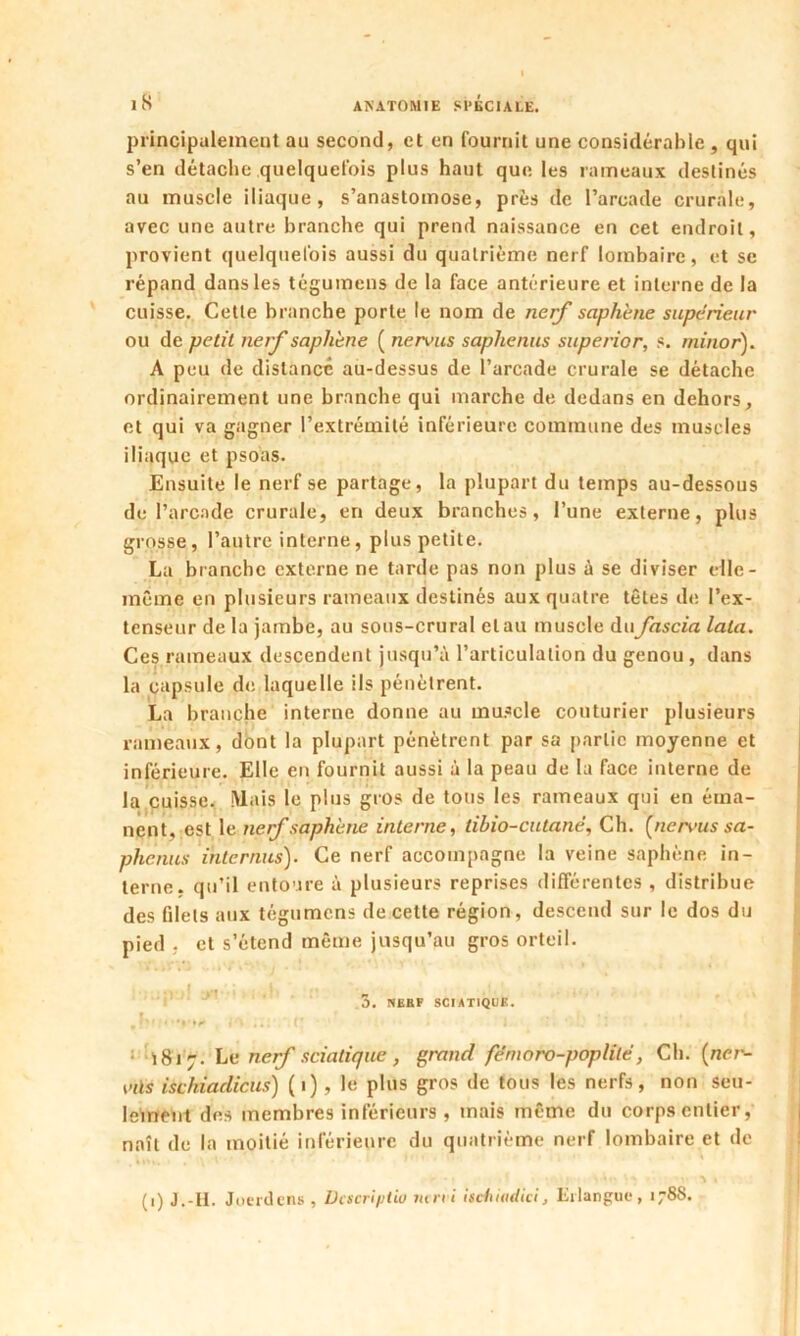 principalement au second, et en fournit une considérable, qui s’en détache quelquefois plus haut que les rameaux destinés au muscle iliaque, s’anastomose, près de l’arcade crurale, avec une autre branche qui prend naissance en cet endroit, provient quelquefois aussi du quatrième nerf lombaire, et se répand dans les tégumens de la face antérieure et interne de la cuisse. Cette branche porte le nom de nerf saphène supérieur ou de petit nerf saphène ( nervus saphenus superior, s. minor). A peu de distancé au-dessus de l’arcade crurale se détache ordinairement une branche qui marche de dedans en dehors, et qui va gagner l’extrémité inférieure commune des muscles iliaque et psoas. Ensuite le nerf se partage, la plupart du temps au-dessous de l’arcade crurale, en deux branches, l’une externe, plus grosse, l’autre interne, plus petite. La branche externe ne tarde pas non plus à se diviser elle - même en plusieurs rameaux destinés aux quatre têtes de l’ex- tenseur de la jambe, au sous-crural et au muscle dufascia lata. Ces rameaux descendent jusqu’à l’articulation du genou , dans la capsule de laquelle ils pénètrent. La branche interne donne au muscle couturier plusieurs rameaux, dont la plupart pénètrent par sa partie moyenne et inférieure. Elle en fournit aussi à la peau de la face interne de la cuisse. Mais le plus gros de tous les rameaux qui en éma- nent, est le nerf saphène interne, tibio-cutanë, Ch. (nen>us sa- phenus internus). Ce nerf accompagne la veine saphène in- terne. qu’il entoure à plusieurs reprises différentes , distribue des filets aux tégumens de cette région, descend sur le dos du pied . et s’étend même jusqu’au gros orteil. 3. NERF SCIATIQUE. 1817. Le nerf sciatique, grand fémoro-poplilé, Ch. (ner- eils ischiadicus) (1), le plus gros de tous les nerfs, non seu- lement des membres inférieurs , mais même du corps entier, naît de la moitié inférieure du quatrième nerf lombaire et de (1) J.-H. Joerdens , Dcscriptio ntrvi iscluiulici, là langue, 178s.