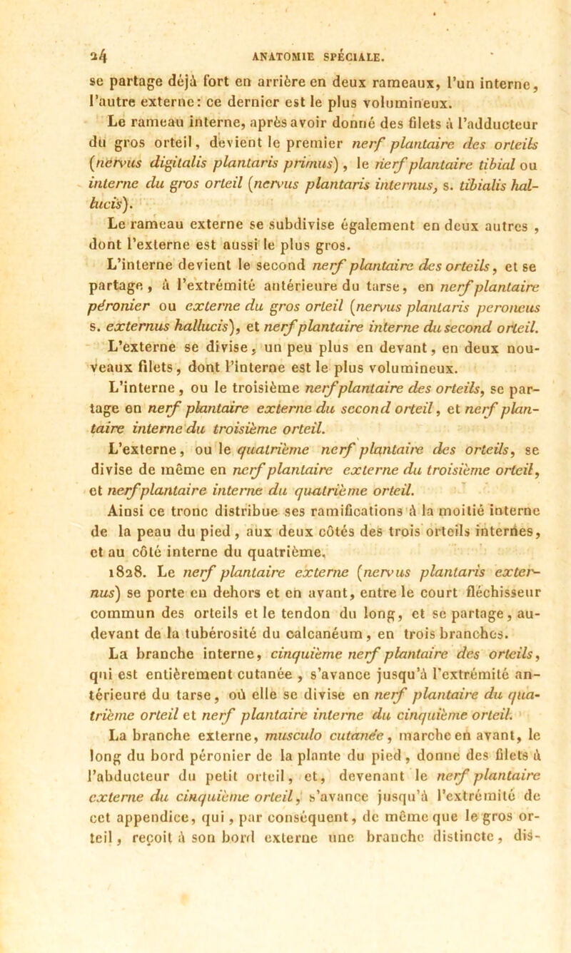 se partage déjà fort en arrière en deux rameaux, l’un interne, l’autre externe: ce dernier est le plus volumineux. Le rameau interne, après avoir donné des filets à l’adducteur du gros orteil, devient le premier nerf plantaire des orteils (nen>us digitalis plantaris primas), le nerfplantaire tibial ou interne du gros orteil (nenais plantaris internus, s. tibialis hal- bicis). Le rameau externe se subdivise également en deux autres , dont l’externe est aussi le plus gros. L’interne devient le second nerf plantaire des orteils, et se partage, à l’extrémité antérieure du tarse, en nerf plantaire péronier ou externe du gros orteil (nenuis plantaris peroneus s. externus hallucis), et nerf plantaire interne du second orteil. L’externe se divise, un peu plus en devant, en deux nou- veaux filets, dont l’interne est le plus volumineux. L’interne , ou le troisième nerf plantaire des orteils, se par- tage en nerf plantaire externe du second orteil, et nef plan- taire interne du troisième orteil. L’externe, ou le quatrième nef plantaire des orteils, se divise de même en nerf plantaire externe du troisième orteil, et nef plantaire interne du quatrième orteil. Ainsi ce tronc distribue ses ramifications à la moitié interne de la peau du pied , aux deux côtés des trois orteils internes, et au côté interne du quatrième. 1828. Le nerf plantaire externe (nervus plantaris exter- nus) se porte en dehors et en avant, entre le court fléchisseur commun des orteils elle tendon du long, et se partage, au- devant de la tubérosité du calcanéum, en trois branches. La branche interne, cinquième nerf plantaire des orteils, qui est entièrement cutanée , s’avance jusqu’à l’extrémité an- térieure du tarse, où elle se divise en nerf plantaire du qua- trième orteil et nerf plantaire intente du cinquième orteil. La branche externe, musculo cutanée, marche en avant, le long du bord péronier de la plante du pied , donne des filets à l’abducteur du petit orteil, et, devenant le nef plantaire externe du cinquième orteil, s’avance jusqu’à l’extrémité de cet appendice, qui, par conséquent, de même que le gros or- teil, reçoit à son bord externe une branche distincte, dis-