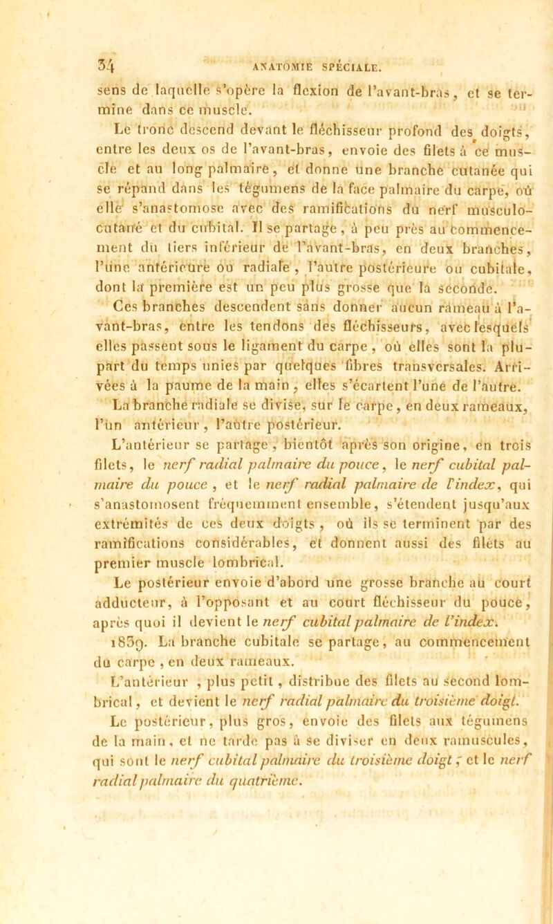 sens de laquelle s’opère la flexion de l’avant-bras, et se ter- mine dans ce muscle. Le tronc descend devant le fléchisseur profond des doigts, entre les deux os de l’avant-bras, envoie des filets à ’cé mus- cle et au long palmaire, et donne une branche cutanée qui se répand dans les tègumens de la face palmaire du carpe, mi elle s’anastomose avec des ramifications du nerf musculo- entanré et du cubital. Il se partage, à peu près au tommence- ment du tiers inférieur de l’avant-bras, en deux branches, Pline antérieure ou radiale , l’autre postérieure ou cubitale, dont la première est un peu plus grosse que la seconde. Ces branches descendent sans donner aucun rameau à l’a- vant-bras, entre les tendons des fléchisseurs, avefclesquels elles passent sous le ligament du carpe , où elles sont la plu- part du temps unies par quelques fibres transversales. Arri- vées à la paume de la main , elles s’écartent l’une de l’autre. La branche radiale se divise, sur le carpe, en deux rameaux, l’ùn antérieur , l’autre postérieur. L’antérieur se partage, bientôt après son origine, en trois filets, le nerf radial palrnaii'e du pouce, le nerf cubital pal- maire du pouce , et le nerf radial palmaire de èindex, qui s’anastomosent fréquemment ensemble, s’étendent jusqu’aux extrémités de ces deux doigts , où ils se terminent par des ramifications considérables, et donnent aussi des filets au premier muscle lombrical. Le postérieur envoie d’abord une grosse branche au court adducteur, ù l’opposant et au court fléchisseur du pouce, après quoi il devient I enerf cubital palmaire de l’index. i85q. La branche cubitale se partage, au commencement du carpe , en deux rameaux. L’antérieur , plus petit, distribue des filets au second lom- brical, et devient le nerf radial palmaire du troisième doigt. Le postérieur, plus gros, envoie des filets aux tègumens de la main, et ne tarde pas à se diviser en deux minuscules, qui sont le nerf cubital palmaire du troisième doigt ; et le nerf radial palmaire du quatrième.