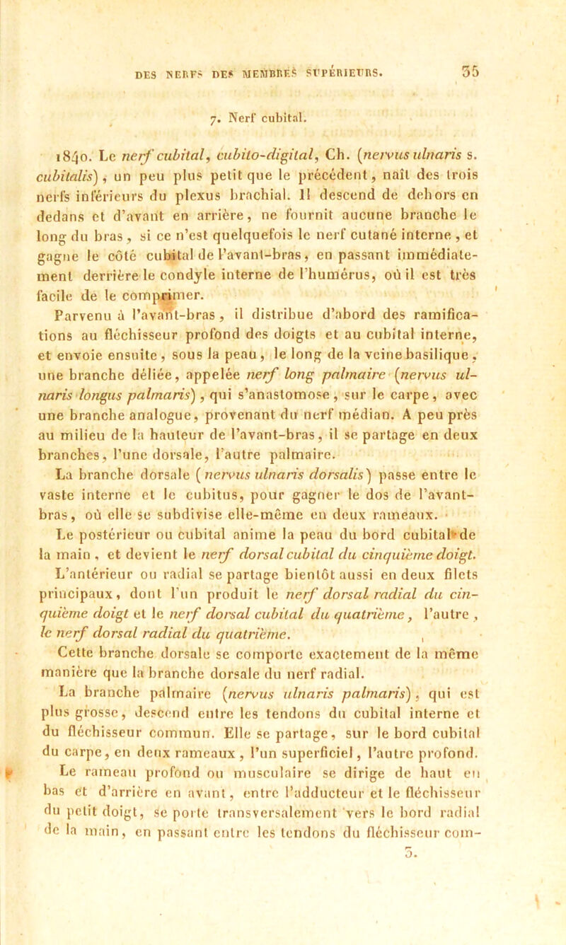 7. Nerf cubital. 18^0. Le nerf cubital, cubilo-digital, Ch. (nervus ulnaris s. cubitalis), un peu plus petit que le précédent, naît des trois nerfs inférieurs du plexus brachial. Il descend de dehors en dedans et d’avant en arrière, ne fournit aucune branche le long du bras, si ce n’est quelquefois le nerf cutané interne , et gagne le côté cubital de l’avant-bras, en passant immédiate- ment derrière le condyle interne de l’humérus, où il est très facile de le comprimer. Parvenu à l’avant-bras , il distribue d’abord des ramifica- tions au fléchisseur profond des doigts et au cubital interne, et envoie ensuite , sous la peau , le long de la veine basilique, une branche déliée, appelée nerf long palmaire (nervus ul- naris longus palmaris), qui s’anastomose , sur le carpe, avec une branche analogue, provenant du nerf médian. A peu près au milieu de la hauteur de l’avant-bras, il se partage en deux branches, l’une dorsale, l’autre palmaire. La branche dorsale ( nervus ulnaris dorsalis) passe entre le vaste interne et le cubitus, pour gagner le dos de l’avant- bras, où elle se subdivise elle-même en deux rameaux. Le postérieur ou cubital anime la peau du bord cubitab-de la main , et devient le nerf dorsal cubital du cinquième doigt. L’antérieur ou radial se partage bientôt aussi en deux filets principaux, dont l’un produit le nerf dorsal radial du cin- quième doigt et le nerf dorsal cubital du quatrième, l’autre , le nerf dorsal radial du quatrième. , Celte branche dorsale se comporte exactement de la même manière que la branche dorsale du nerf radial. La branche palmaire (nervus ulnaris palmaris), qui est plus grosse, descend entre les tendons du cubital interne et du fléchisseur commun. Elle se partage, sur le bord cubital du carpe, en deux rameaux , l’un superficiel, l’autre profond. Le rameau profond ou musculaire se dirige de haut eu bas et d’arrière en avant, entre l’adducteur et le fléchisseur du petit doigt, se porte transversalement vers le bord radia! de la main, en passant entre les tendons du fléchisseur com- 5.