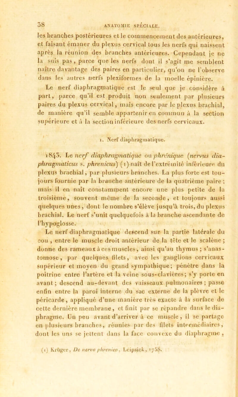 les branches postérieures et le commencement des antérieures, et faisant émaner du plexus cervical tous les nerfs qui naissent après la réunion des branches antérieures. Cependant je ne la suis pas, parce que les nerfs dont il s’agit me semblent naître davantage des paires en particulier, qu’on ne l’observe dans les autres nerfs plexiformes de la moelle épinière. Le nerf diaphragmatique est le seul que je considère à part, parce qu’il est produit non seulement par plusieurs paires du plexus cervical, mais encore par le plexus brachial, de manière qu’il semble appartenir en commun à la section supérieure et à la section inférieure des nerfs cervicaux. ». Nerf diaphragmatique. 1843. Le nerf diaphragmatique ou phrénique (nervus dia- phragmaticus s. phrenicus) (1) naît de l’extrémité inférieure du plexus brachial, par plusieurs branches. La plus forte est tou- jours fournie par la branche antérieure de la quatrième paire; mais il en naît constamment encore une plus petite de la troisième, souvent même de la seconde, et toujours aussi quelques unes, dont le nombre s’élève jusqu’à trois,du plexus brachial. Le nerf s’unit quelquefois à la branche ascendante de l’hypoglosse. Le nerf diaphragmatique descend sur la partie latérale du cou , entre le muscle droit antérieur de la tête et le scalènc ; donne des rameaux à ces muscles, ainsi qu’au thymus; s’anas- tomose, par quelques blets, avec les ganglions cervicaux supérieur et moyen du grand sympathique; pénètre dans la poitrine entre l’artère et la veine sous-clavières; s’y porte en avant ; descend au-devant des vaisseaux pulmonaires ; passe enfin entre la paroi interne du sac externe de la plèvre et le péricarde, appliqué d’une manière très exacte à la surface de cette dernière membrane, et finit par se répandre dans le dia- phragme. Un peu avant d’arriver à ce muscle, il se partage en plusieurs branches, réunies par des filets intermédiaires, dont les uns se jettent dans la face convexe du diaphragme, (1) K.iüger, De nervo phrenieo. Leipsick, <j5S.