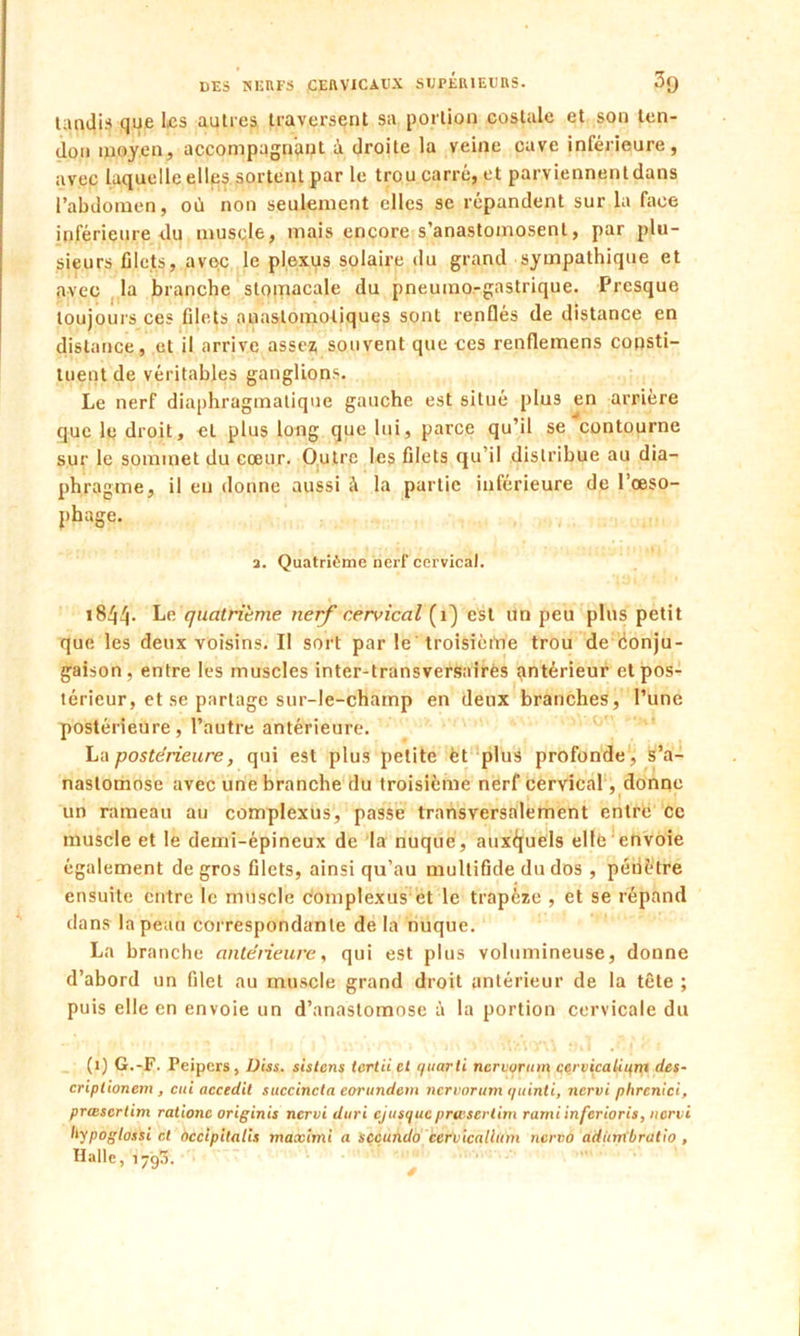 tandis que les autres traversent sa portion costale et son ten- don moyen, accompagnant à droite la veine cave inférieure, avec laquelle elles sortent par le trou carré, et parviennentdans l’abdomen, où non seulement elles se répandent sur la face inférieure du muscle, mais encore s’anastomosent, par plu- sieurs filets, avec le plexus solaire du grand sympathique et avec la branche stomacale du pneumo-gastrique. Presque toujours ces filets anastomotiques sont renflés de distance en distance, et il arrive assez; souvent que ces renflemens consti- tuent de véritables ganglions. Le nerf diaphragmatique gauche est situé plu3 en arrière que le droit, et plus long que lui, parce qu’il se contourne sur le sommet du cœur. Outre les filets qu’il distribue au dia- phragme, il en donne aussi la partie inférieure de l’œso- phage. a. Quatrième nerf cervical. 18^4* quatrième nerf cervical (1) est un peu plus petit que les deux voisins. II sort par le troisième trou de Conju- gaison, entre les muscles inter-transversairës antérieur etpos- térieur, et se partage sur-le-champ en deux branches, l’une postérieure, l’autre antérieure. La postérieure, qui est plus petite èt plus profonde , s’a- nastomose avec une branche du troisième nerf cervical, donne un rameau au complexus, passe transversalement entre ce muscle et le demi-épineux de la nuque, auxquels elle envoie également de gros filets, ainsi qu’au multifide du dos , pénètre ensuite entre le muscle complexus et le trapèze , et se répand dans la peau correspondante de la nuque. La branche anteHeure, qui est plus volumineuse, donne d’abord un filet au muscle grand droit antérieur de la tête ; puis elle en envoie un d’anastomose ù la portion cervicale du (1) G.-F. Peipers, Uiss. sistcns tcrtii et quarti ncrvurtim çervicaliifm des- criplionem , eut accedit succincla eorundem nervorum quinti, nervi phrenici, prœscrlim rationc originis nervi duri cjusquc prtvserlini ramiinferioris, nervi llypoglossi cl occipitnlis maximi a secundo ccrvicallttm ncrvo adiimbratio , Halle, 1793.