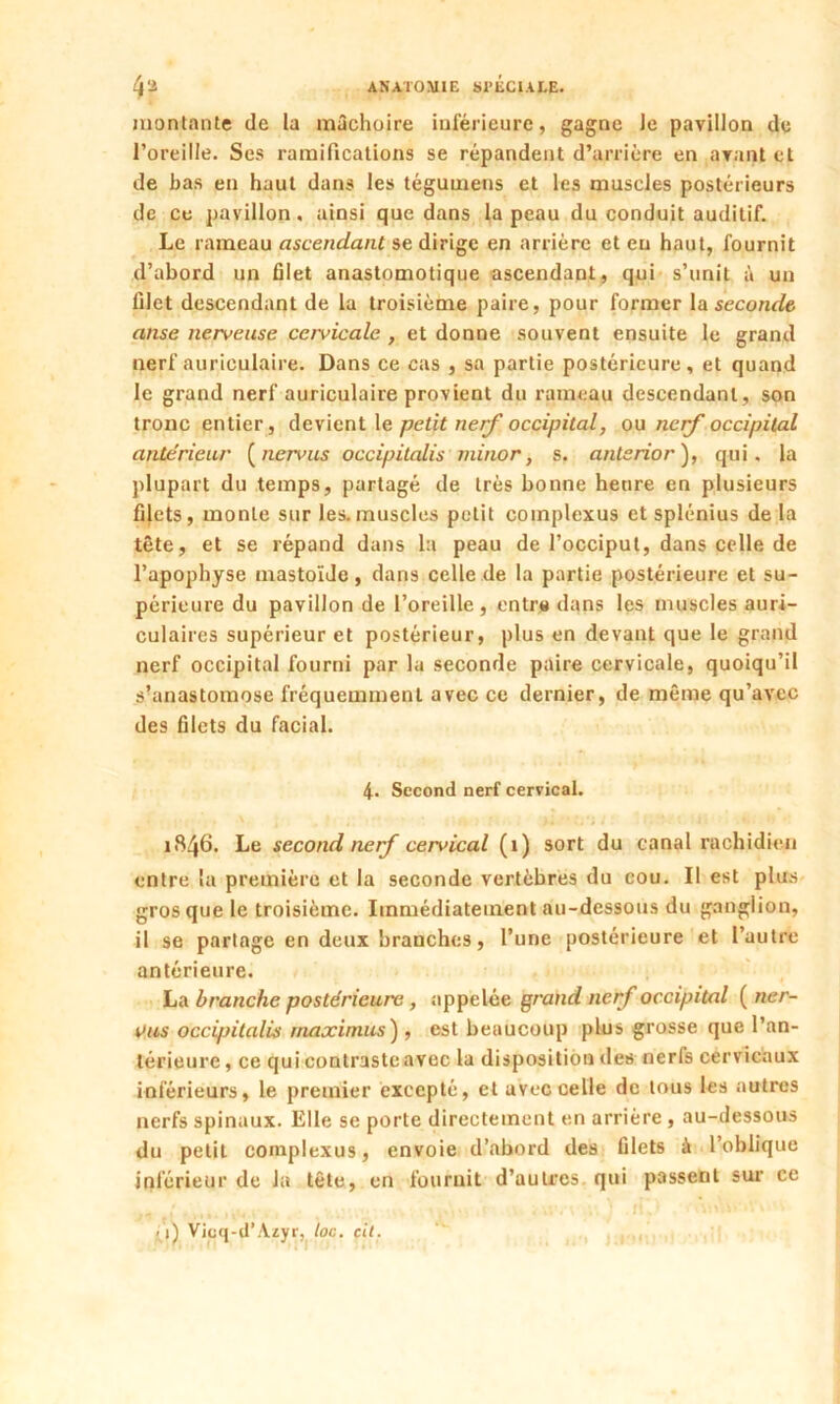 montante de la mâchoire inférieure, gagne Je pavillon de l’oreille. Ses ramifications se répandent d’arrière en avant et de bas en haut dans les tégumens et les muscles postérieurs de ce pavillon, ainsi que dans la peau du conduit auditif. Le rameau ascendant se dirige en arrière et eu haut, fournit d’abord un filet anastomotique ascendant, qui s’unit à un filet descendant de la troisième paire, pour former la seconde anse nerveuse cervicale , et donne souvent ensuite le grand nerf auriculaire. Dans ce cas , sa partie postérieure, et quand le grand nerf auriculaire provient du rameau descendant, son tronc entier, devient le petit nerf occipital, ou nerf occipital antérieur (nervus occipitalis minor, s. anterior), qui. la plupart du temps, partagé de très bonne heure en plusieurs fdets, monte sur les. muscles petit complexus et splénius de la tête, et se répand dans la peau de l’occiput, dans celle de l’apophyse mastoïde, dans celle de la partie postérieure et su- périeure du pavillon de l’oreille, entr» dans les muscles auri- culaires supérieur et postérieur, plus en devant que le grand nerf occipital fourni par la seconde paire cervicale, quoiqu’il s’anastomose fréquemment avec ce dernier, de même qu’avec des filets du facial. 4. Second nerf cervical. 1846. Le second nerf cervical (1) sort du canal rachidien entre la première et la seconde vertèbres du cou. Il est plus gros que le troisième. Immédiatement au-dessous du ganglion, il se partage en deux branches, l’une postérieure et l’autre antérieure. La branche postérieure, appelée grand nerf occipital ( ner- vus occipitalis rnaximus), est beaucoup plus grosse que l’an- térieure, ce qui contraste avec la disposition des nerfs cervicaux inférieurs, le premier excepté, et avec celle de tous les autres nerfs spinaux. Elle se porte directement en arrière, au-dessous du petit complexus, envoie d’abord des filets à l’oblique inférieur de la tête, en fournit d’autres qui passent sur ce -i) Vioq-d’Azyr, /oc. cil.