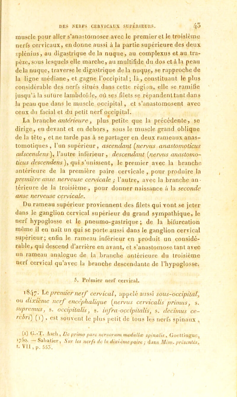 muscle pour aller s’anastomoser avec le premier et le troisième nerfs cervicaux, en donne aussi à la partie supérieure des deux splénius, au digastrique de la nuque, au complexus et au tra- pèze, sous lesquels elle marche, au inultifidc du dos et A la peau delà nuque, traverse le digastrique delà nuque, se rapproche de la ligne médiane, et gagne l’occipital; là, constituant le plus considérable des nerfs situés dans cette région, elle se ramifie jusqu’à la suture lambdoïde, oii ses filets se répandenttunt dans la peau que dans le muscle occipital, et s’anastomosent avec ceux du facial et du petit nerf occipital. La branche antérieure, plus petite que la précédente, se dirige, en devant et en dehors, sous le muscle grand oblique de la tête , et ne tarde pas à se partager en deux rameaux anas- tomotiques, l’un supérieur, ascendant [nervus anastomçticus adscendens), l’autre inférieur, descendant (nervus anastomo- ticus descendons ), qui s’unissent, le premier avec la branche antérieure de la première paire cervicale , pour produire la première anse nerveuse cervicale ; l’autre, avec la branche an- térieure de la troisième, pour donner naissance à la seconde anse nerveuse cervicale. Du rameau supérieur proviennent des filets qui vont se jeter dans le ganglion cervical supérieur du grand sympathique, le nerf hypoglosse et le pneumo-gaslrique ; de la bifurcation même il en naît un qui se porte aussi dans le ganglion cervical supérieur; enfin le rameau inférieur en produit un considé- rable, qui descend d’arrière en avant, et s’anastomose tant avec un rameau analogue de la branche antérieure du troisième nerl cervical qu’avec la branche descendante de l’hypoglosse. 5. Premier nerf cervical. 1847. Lt premier nerf cervical, appelé aussi sous-occipital, ou dixième nerf encéphalique [nervus cetvicalis primas, s. supremus, s. occipitalis, s. infra occipilalis, s. decimus ce- rehri) (1) , est souvent le plus petit de tous les nerfs spinaux , (0 G.-P. Ascii, De primo parc ncnwrum mcdullcc spinales, Goettioguc, 1750. — Sabatier, Sur tes nerfs de lu dixième paire : dans Môm. présentes, G VII, p. 553.