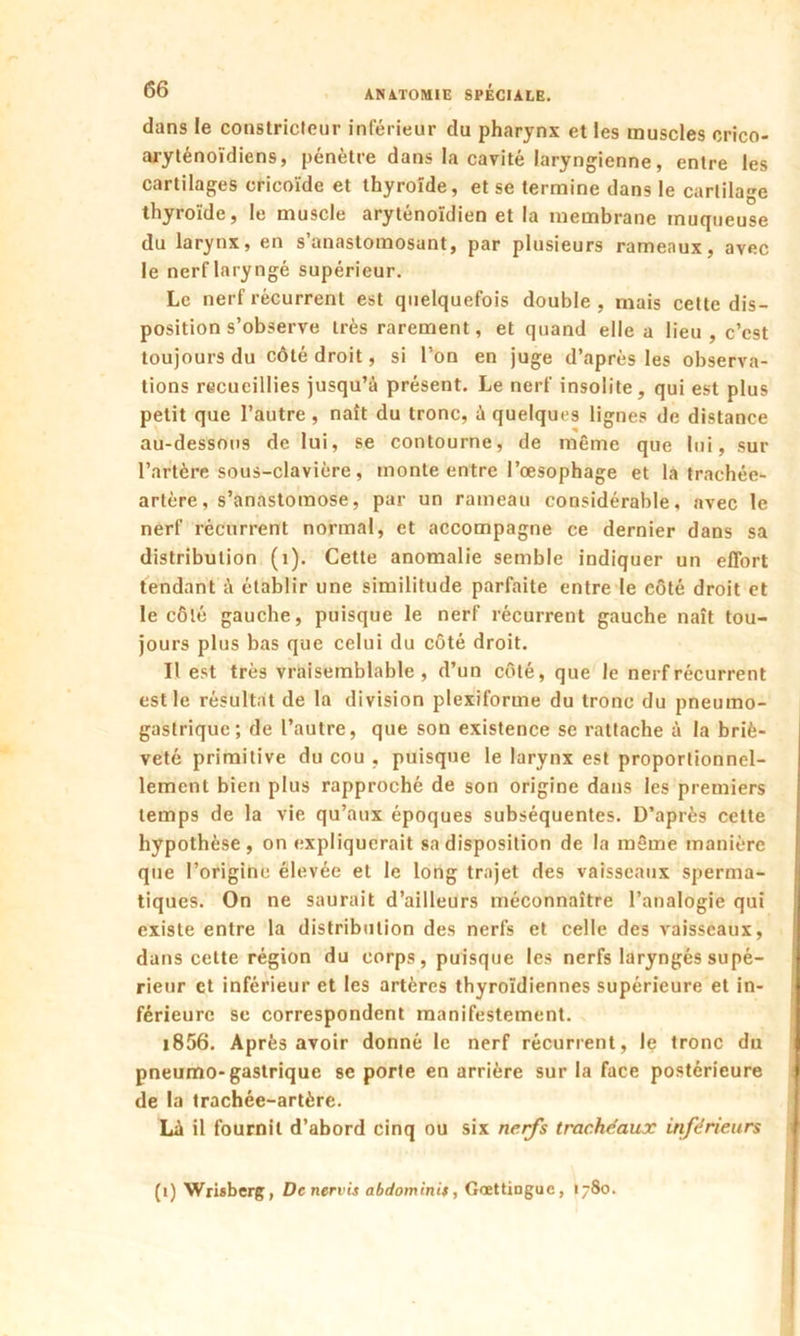 dans le constricteur inférieur du pharynx et les muscles crico- aryténoïdiens, pénètre dans la cavité laryngienne, entre les cartilages cricoïde et thyroïde, et se termine dans le cartilage thyroïde, le muscle aryténoïdien et la membrane muqueuse du larynx, en s’anastomosant, par plusieurs rameaux, avec le nerf laryngé supérieur. Le nerf récurrent est quelquefois double, mais cette dis- position s’observe très rarement, et quand elle a lieu , c’est toujours du côté droit, si l’on en juge d’après les observa- tions recueillies jusqu’à présent. Le nerf insolite, qui est plus petit que l’autre , naît du tronc, à quelques lignes de distance au-dessous de lui, se contourne, de même que lui, sur l’artère sous-clavière, monte entre l’œsophage et la trachée- artère , s’anastomose, par un rameau considérable, avec le nerf récurrent normal, et accompagne ce dernier dans sa distribution (1). Cette anomalie semble indiquer un effort tendant à établir une similitude parfaite entre le côté droit et le côté gauche, puisque le nerf récurrent gauche naît tou- jours plus bas que celui du coté droit. Il est très vraisemblable, d’un côté, que le nerf récurrent est le résultat de la division plexiforme du tronc du pneumo- gastrique; de l’autre, que son existence se rattache à la briè- veté primitive du cou , puisque le larynx est proportionnel- lement bien plus rapproché de son origine dans les premiers temps de la vie qu’aux époques subséquentes. D’après cette hypothèse, on expliquerait sa disposition de la même manière que l’origine élevée et le long trajet des vaisseaux sperma- tiques. On ne saurait d’ailleurs méconnaître l’analogie qui existe entre la distribution des nerfs et celle des vaisseaux, dans cette région du corps, puisque les nerfs laryngés supé- rieur et inférieur et les artères thyroïdiennes supérieure et in- férieure se correspondent manifestement. i856. Après avoir donné le nerf récurrent, le tronc du pneumo-gastrique se porte en arrière sur la face postérieure de la trachée-artère. Là il fournil d’abord cinq ou six nerfs trachéaux inférieurs (i) Wrisberg, De nervis abdominis, Gcettinguc, I780.