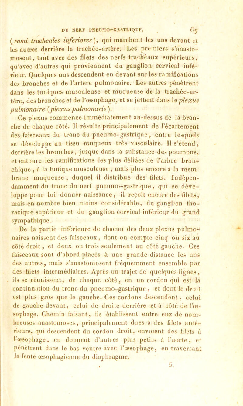 (ranii trachéales inferiores), qui marchent les uns devant et les autres derrière la trachée-artère. Les premiers s’anasto- mosent, tant avec des filets des nerfs trachéaux supérieurs, qu’avec d’autres qui proviennent du ganglion cervical infé- rieur. Quelques uns descendent en devant sur les ramifications des bronches et de l’artère pulmonaire. Les autres pénètrent dans les tuniques musculeuse et muqueuse de la trachée-ar- tère, des bronches et de l’œsophage, et se jettent dans le plexus pulmonaire (plexus pulmonaris ). Ce plexus commence immédiatement au-dessus de la bron- che de chaque côté. Il résulte principalement de l’écartement des faisceaux du tronc du pneumo-gastrique, entre lesquels se développe un tissu muqueux très vasculaire. Il s’étend, derrière les bronches, jusque dans la substance des poumons, et entoure les ramifications les plus déliées de l’arbre bron- chique , à la tunique musculeuse, mais plus encore à la mem- brane muqueuse , duquel il distribue des filets. Indépen- damment du tronc du nerf pneumo-gastrique, qui se déve- loppe pour lui donner naissance, il reçoit encore des filets, mais en nombre bien moins considérable, du ganglion tho- racique supérieur et du ganglion cervical inférieitr du grand sympathique. De la partie inférieure de chacun des deux plexus pulmo- naires naissent des faisceaux, dont on compte cinq ou six au côté droit, et deux ou trois seulement au côté gauche. Ces faisceaux sont d’abord placés à une grande distance les uns des autres, mais s’anastomosent fréquemment ensemble par des filets intermédiaires. Après un trajet de quelques lignes, ils se réunissent, de chaque côté, en un cordon qui est la continuation du tronc du pneumo-gastrique, et dont le droit est plus gros que le gauche. Ces cordons descendent. celui de gauche devant, celui de droite derrière et il côté de l’œ- sophage. Chemin faisant, ils établissent entre eux de nom- breuses anastomoses, principalement dues ;1 des filets anté- rieurs, qui descendent du cordon droit, envoient des filets à l'œsophage, en donnent d’autres plus petits il l’aorte, et pénètrent dans le bas-ventre avec l’œsophage, en traversant la fente œsophagienne du diaphragme.