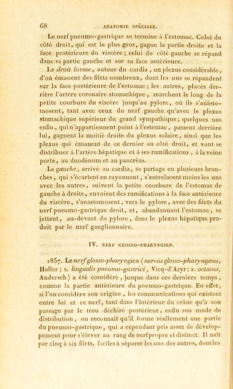 Le nerf pneumo-gastrique se termine à l’estoinac. Celui dn côté droit, qui est le plus gros, gagne la partie droite et la lace postérieure du viscère ; celui du côté gauche se répand dans sa partie gauche et sur sa face antérieure. Le droit forme, autour du cardia , un plexus considérable, d’où émanent des filets nombreux, dont les uns se répandent sur la face postérieure de l’estomac; les autres, placés der- rière l’artère coronaire stomachique, marchent le long de la petite courbure du viscère jusqu’au pylore, où ils s’anasto- mosent, tant avec ceux du nerf gauche qu’avec le plexus stomachique supérieur du grand sympathique; quelques uns enfin, qui n’appartiennent point à l’estomac , passent derrière lui, gagnent la moitié droite du plexus solaire, ainsi que les plexus qui émanent de ce dernier au côté droit, et vont se distribuer à l’artère hépatique et à ses ramifications , à la veine porte, au duodénum et au pancréas. Le gauche, arrivé au cardia, se partage en plusieurs bran- ches, qui s’écartent en rayonnant, s’entrelacent moins les uns avec les autres, suivent la petite courbure de l’estomac de gauche à droite, envoient des ramifications à la face antérieure du viscère, s’anastomosent, vers le pylore, avec des filets du nerf pneumo-gastrique droit, et, abandonnant l’estomac, se jettent, au-devant du pylore, dans le plexus hépatique pro- duit par le nerf ganglionnaire. IV. NERF GLOSSO-PHARYNGIEN. 1857. Lenerf glosso-pharyngien (nervusglosso-pharyngæits, Haller; s. lingualis pneunio-gastrici, Vicq-d’Azyr; s. octavus, Àndersch) a été considéré , jusque dans ces derniers temps, comme la partie antérieure du pneumo-gastrique. En effet, si l’on considère son origine , les communications qui existent entre lui et ce nerf, tant dans l’intérieur du crâne qu’à son passage par le trou déchiré postérieur, enfin son mode de distribution, on reconnaît qu’il forme réellement une partie du pneumo-gastrique, qui a cependant pris assez de dévelop- pement pour s’élever au rang de nerf propre et distinct. 11 naît par cinq à six filets, faciles à séparer les uns des autres, dont les