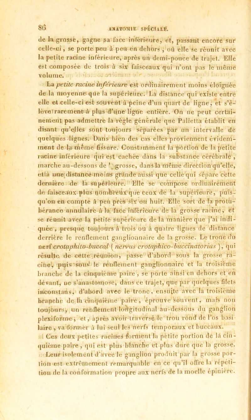 lie ta «rossé, gagne sa lace inférieure, et, passant encore sur celle-ci, se porte peu à peu en dehors ,'où elle se réunit avec la petite racine inférieure, après un demi-pouce de trajet. Elle est composée de trois à six faisceaux qui n’ont pas le même volume. La petite racine inferieure est ordinairement moins éloignée de la moyenne que la supérieure. La distance qui existe entre elle et celle-ci est souvent à peine d’un quart de ligne, et s’é- lève i rarement; plus d’une ligne entière. On ne peut certai- nement pas admettre la 'règle générale que Pallelta établit en disant qu’elles sont toujours séparées par un intervalle de quelques lignes, bans bien des cas elles proviennent évidem- ment de la même fissure. Constamment la portion de la petite racine inférieure qui est cachée dans la substance cérébrale , marche au-dessous de 1 grosse, dans la même direction qu’elle, et là une distance moins grànde aussi que celle qui sépare cette dernière de la supérieure. Elle se compose ordinairement de i'aisceàux plus nOmbteùx que ceux de la supérieure, puis- qu’on en compte à peiï près six ou huit. Elle sort de fa prolu- béranco anndlairc à la face inférieure de la grosse racine, ët se réunit avec la petite supérieure delà manière que j’ai indi- quée, presque toujours h trois ou à quatre lignes de distance derrière le renflement ganglionnaire de la grosse. Le tronc du nerf croluphilo-buccal ( nervus crolaphico-buccinatorius ), qui résulte de dette réunion, passe d’abord sous la grosse rà- oihe, puis sous1 le renflement ganglionnaire et la troisième branché de la cinquième paire , se porte ainsi en dehors et en devant, ne s’anastomose, dans ce trajet, que par quelques filets iiiconstans, d’abord avec le tronc, ensuite avec la troisième branche de th cinquième paire, éprouve souvent, mais non toujours, un renflement longitudinal au-dessous du ganglion plexiforme , et, après avoir traversé le trou rond de l’os basi- laire , va former à lui Seul les nerfs temporaux et buccaux. Ces deux petites racines forment la petite portion de là cin- quième paire, qui est plus blanche et plus dure que là grosse. Leur isolement d’avec le ganglion produit par la grosse por- tion est extrêmement remarquable en ce qu’il olire la répéti- tion de la conformation propre aux nerfs de la moelle épinière.