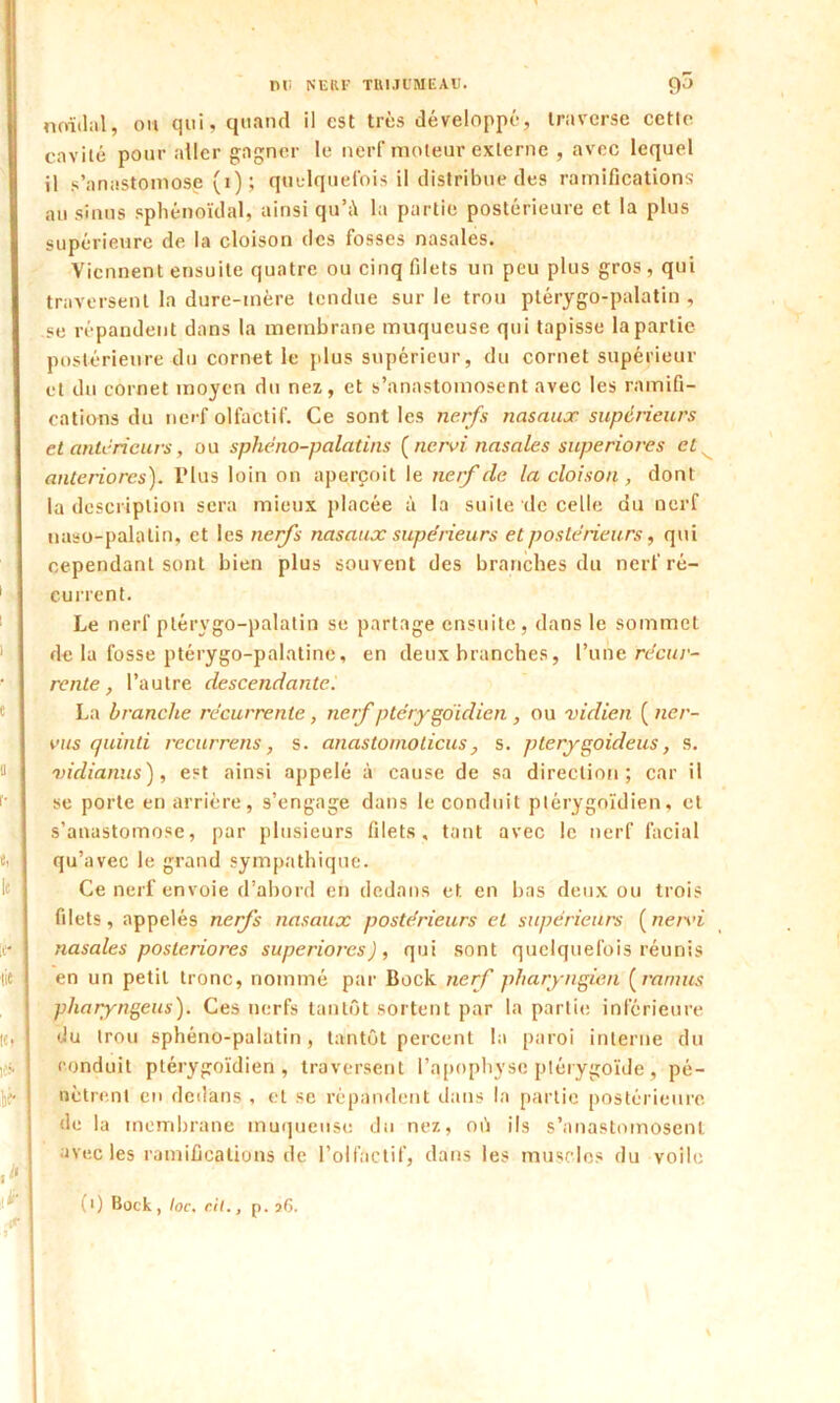 noitlal, on qui, quand il est très développé, traverse cetle cavité pour .aller gagner le nerf moteur externe , avec lequel il s’anastomose (i) ; quelquefois il distribue des ramifications au sinus sphénoïdal, ainsi qu’;\ la partie postérieure et la plus supérieure de la cloison des fosses nasales. Viennent ensuite quatre ou cinq filets un peu plus gros, qui traversent la dure-mère tendue sur le trou ptérygo-palatin , se répandent dans la membrane muqueuse qui tapisse la partie postérieure du cornet le plus supérieur, du cornet supérieur et du cornet moyen du nez, et s’anastomosent avec les ramifi- cations du nerf olfactif. Ce sont les nerfs nasaux supérieurs et antérieurs, ou sphéno-palatins (nervi nasales superiores cl anteriores). Plus loin on aperçoit le nerf de la cloison , dont la description sera mieux placée à la suite de celle du nerf naso-palatin, et les nerfs nasaux supérieurs et postérieurs, qui cependant sont bien plus souvent des branches du nerf ré- current. Le nerf ptérygo-palatin se partage ensuite, dans le sommet de la fosse ptérygo-palatine, en deux branches, l’une récur- rente , l’autre descendante.. La branche récurrente , nerf ptérygoidien , ou vidien ( ner- vus quinti récurrent, s. anastornolicus, s. pterygoideus, s. vidianus ), est ainsi appelé à cause de sa direction; car il se porte en arrière, s’engage dans le conduit ptérygoidien, et s’anastomose, par plusieurs filets, tant avec le nerf facial qu’avec le grand sympathique. Ce nerf envoie d’abord en dedans et en bas deux ou trois filets, appelés nerfs nasaux postérieurs et supérieurs (nervi nasales posteriores superiores), qui sont quelquefois réunis en un petit tronc, nommé par Bock nerf pharyngien ( ramus pharyngeus). Ces nerfs tantôt sortent par la partie inférieure du trou sphéno-palatin, tantôt percent la paroi interne du conduit ptérygoidien, traversent l’apophyse ptérygoïde, pé- nètrent en dedans , et se répandent dans la partie postérieure de la membrane muqueuse du nez, oô ils s’anastomosent avec les ramifications de l’olfactif, dans les muscles du voile (*)
