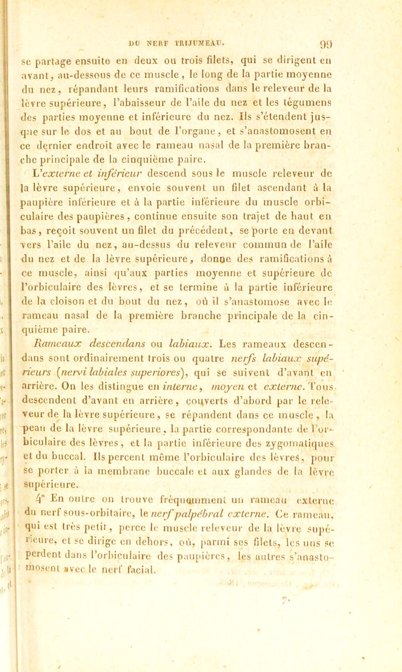 sc partage ensuite en deux ou trois filets, qui se dirigent en avant, au-dessous de ce muscle, le long de la partie moyenne du nez. répandant leurs ramifications dans le releveur de la lèvre supérieure, l’abaisseur de l’aile du nez et les légumens des parties moyenne et inférieure du nez. Ils s’étendent jus- que sur le dos et au bout de l’organe, et s’anastomosent en ce dernier endroit avec le rameau nasal de la première bran- che principale de la cinquième paire. L'externe et inférieur descend sous le muscle releveur de la lèvre supérieure, envoie souvent un filet ascendant à la paupière inférieure et à la partie inférieure du muscle orbi- culaire des paupières, continue ensuite son trajet de haut en bas, reçoit souvent un filet du précédent, se porte en devant vers l’aile du nez, au-dessus du releveur commun de l’aile du nez et de la lèvre supérieure, donne des ramifications à ce muscle, ainsi qu’aux parties moyenne et supérieure de l’orbiculaire des lèvres, et se termine à la partie inférieure de la cloison et du bout du nez, où il s’anastomose avec le rameau nasal de la première branche principale de la cin- quième paire. Rameaux descendons ou labiaux. Les rameaux desccn- dans sont ordinairement trois ou quatre nerfs labiaux supé- rieurs (nervi labiales superiores), qui se suivent d’avant en arrière. On les distingue en interne, moyen ci externe. Toys descendent d’avant en arrière, couverts d’abord par le rele- veur de la lèvre supérieure, se répandent dans ce muscle, la peau de la lèvre supérieure, la partie correspondante de l’or- biculaire des lèvres, et la partie inférieure des zygomatiques et du buccal. Ils percent même l’orbiculaire des lèvres, pour se porter à la membrane buccale et aux glandes de la lèvre supérieure. 4° Ln outre on trouve fréquemment un rameau externe du nerf sous-orbitaire, le nerf palpébral externe. Ce rameau, qui est très petit, perce le muscle releveur de la lèvre supé- rieure, et sc dirige en dehors, où, parmi ses filets, les uns sc perdent dans Porbiculaire des paupières, les autres s’anasto- mosent avec. le nerf facial.