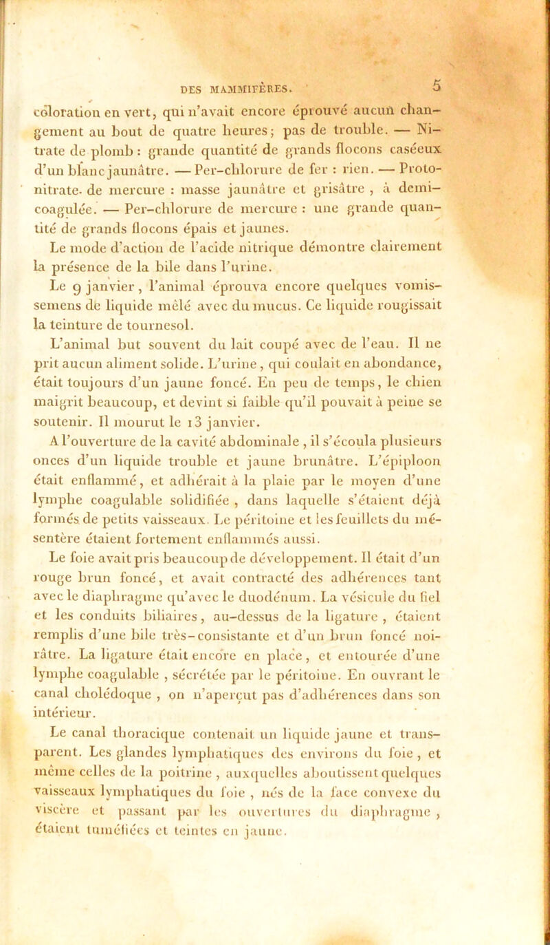 coloration en vert, qui n’avait encore éprouvé aucun chan- gement au bout de quatre heures; pas de trouble. — Ni- trate de plomb : grande quantité de grands flocons caséeux d’un blanc jaunâtre. —Per-chlorure de fer : rien. — Proto- nitrate- de mercure : masse jaunâtre et grisâtre , à deini- coagulée. — Per-chlorure de mercure : une grande quan- tité de grands flocons épais et jaunes. Le mode d’action de l’acide nitrique démontre clairement la présence de la bile dans l’urine. Le g janvier , l’animal éprouva encore quelques vomis- semens de liquide mêlé avec du mucus. Ce liquide rougissait la teinture de tournesol. L’animal but souvent du lait coupé avec de l’eau. Il ne prit aucun aliment solide. L’urine, qui coulait en abondance, était toujours d’un jaune foncé. En peu de temps, le chien maigrit beaucoup, et devint si faible qu’il pouvait à peine se soutenir. Il mourut le i3 janvier. A l’ouverture de la cavité abdominale , il s’écoula plusieurs onces d’un liquide trouble et jaune brunâtre. L’épiploon était enflammé, et adhérait à la plaie par le moyen d’une lymphe coagulable solidifiée , dans laquelle s’étaient déjà formés de petits vaisseaux. Le péritoine et iesfeuillets du mé- sentère étaient fortement enflammés aussi. Le foie avait pris beaucoup de développement. Il était d’un rouge brun foncé, et avait contracté des adhérences tant avec le diaphragme qu’avec le duodénum. La vésicule du fiel et les conduits biliaires, au-dessus de la ligature , étaient remplis d’une bile très-consistante et d’un brun foncé noi- râtre. La ligature était encore en place, et entourée d’une lymphe coagulable , sécrétée par le péritoine. En ouvrant le canal cholédoque , on n’aperçut pas d’adhérences dans son intérieur. Le canal thoracique contenait un liquide jaune et trans- parent. Les glandes lymphatiques des environs du foie , et même celles de la poitrine , auxquelles aboutissent quelques vaisseaux lymphatiques du foie , nés de la lace convexe du viscère et passant par les ouvertures du diaphragme , étaient tuméfiées et teintes en jaune.