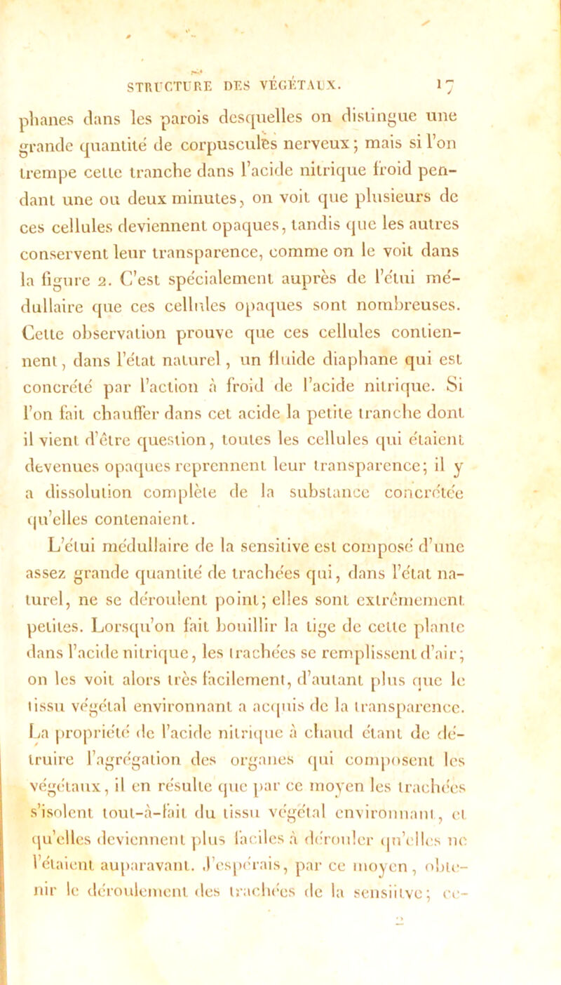 phanes dans les parois desquelles on distingue une grande quantité de corpuscules nerveux ; mais si l’on trempe cette tranche dans l’acide nitrique froid pen- dant une ou deux minutes, on voit que plusieurs de ces cellules deviennent opaques, tandis que les autres conservent leur transparence, comme on le voit dans la figure 2. C’est spécialement auprès de l’étui mé- dullaire que ces cellules opaques sont nombreuses. Celte observation prouve que ces cellules contien- nent, dans l’état naturel, un fluide diaphane qui est concrété par l’action à froid de l’acide nitrique. Si l’on fait chauffer dans cet acide la petite tranche dont il vient d’être question, toutes les cellules qui étaient devenues opaques reprennent leur transparence; il y a dissolution complète de la substance concrétée qu’elles contenaient. L’étui médullaire de la sensitive est composé d’une assez grande quantité de trachées qui, dans l’état na- turel, ne se déroulent point; elles sont extrêmement, petites. Lorsqu’on fait bouillir la lige de cette plante dans l’acide nitrique, les trachées se remplissent d’air; on les voit alors très facilement, d’autant plus que le tissu végétal environnant a acquis de la transparence. La propriété de l’acide nitrique à chaud étant de dé- truire l’agrégation des organes qui composent les végétaux, il en résulte que par ce moyen les trachées s’isolent tout-à-fait du tissu végétal environnant, et quelles deviennent plus faciles à dérouler qu’elles 11c l’étaient auparavant, .l’espérais, par ce moyen, obte- nir le déroulement des trachées de la sensiilvc; ce-