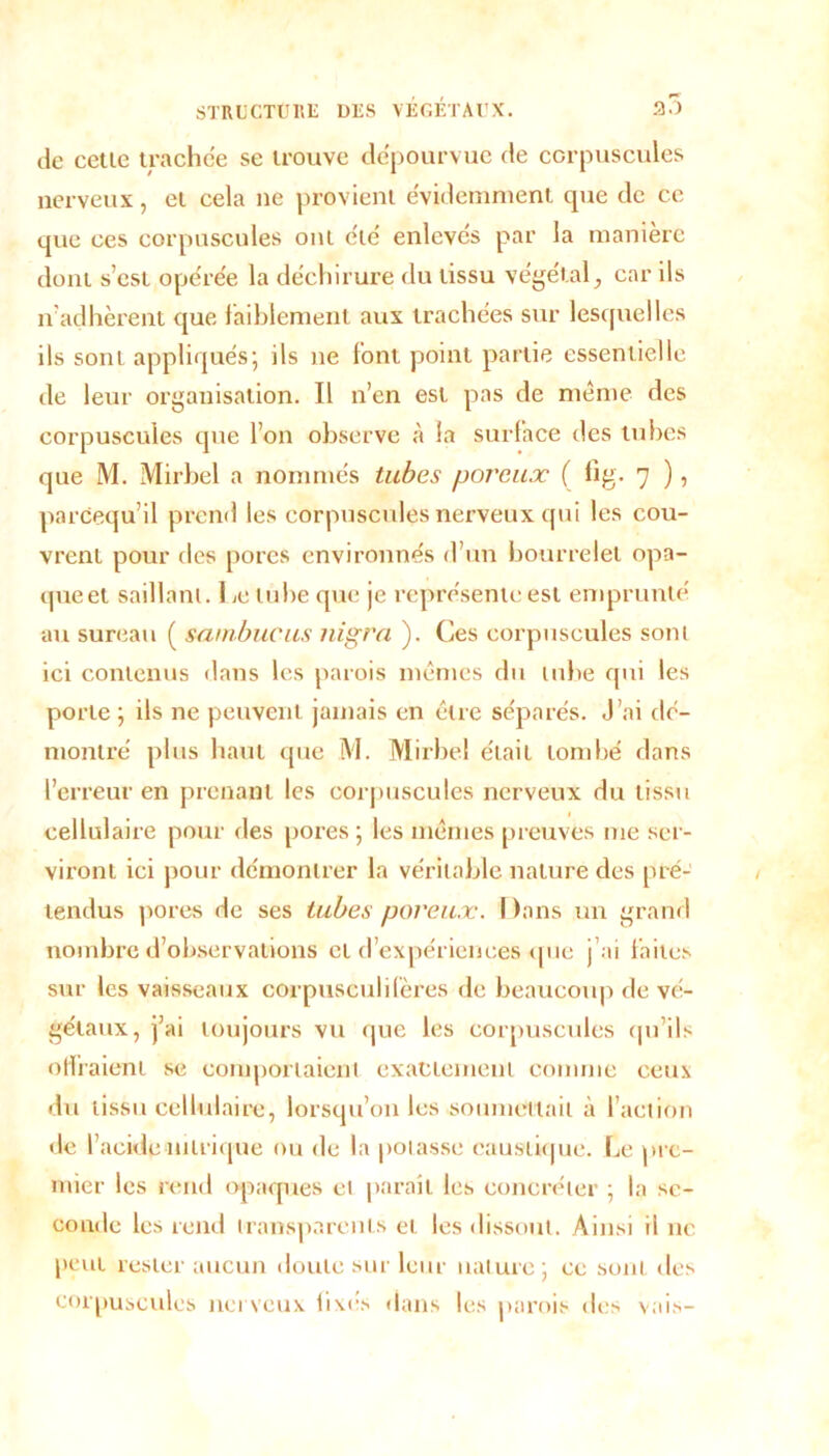 île cette trachée se trouve dépourvue de corpuscules nerveux, et cela ne provient évidemment que de ce que ces corpuscules ont été enlevés par la manière dont s’est opérée la déchirure du tissu végétal,, car ils n’adhèrent que faiblement aux trachées sur lesquelles ils sont appliqués; ils ne font point partie essentielle de leur organisation. Il n’en est pas de meme des corpuscules que l’on observe à la surface des tubes que M. Mirbel a nommés tubes poreux ( fig. 7 ), parcequ’il prend les corpuscules nerveux qui les cou- vrent pour des pores environnés d’un bourrelet opa- que et saillant. 1 ,e tube que je représente est emprunté au sureau ( swnbucus nigra ). Ces corpuscules sont ici contenus dans les parois mentes du tube qui les porte ; ils ne peuvent jamais en être séparés. J’ai dé- montré plus haut que M. Mirbel était tombé dans l’erreur en prenant les corpuscules nerveux du tissu cellulaire pour des pores; les mêmes preuves me ser- viront ici pour démontrer la véritable nature des pré- tendus pores de ses tubes poreux. I )ons un grand nombre d’observations et d’expériences que j’ai faites sur les vaisseaux corpusculifères de beaucoup de vé- gétaux, j’ai toujours vu que les corpuscules qu’ils offraient se comportaient exactement comme ceux du tissu cellulaire, lorsqu’on les soumettait à l’action de l’acide nitrique ou de la potasse caustique. Le pre- mier les rend opaques et paraît les concréter ; la se- conde les rend transparents et les dissout. Ainsi il ne peut rester aucun doute sur leur nature ; ce sont des corpuscules nerveux fixés dans les parois des vais-