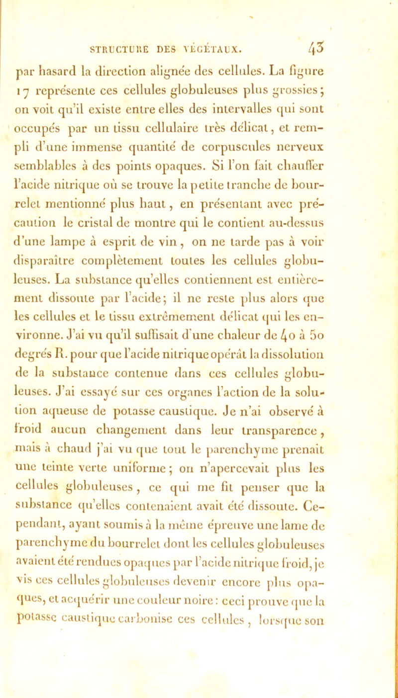 par hasard la direction alignée des cellules. La figure i n représente ces cellules globuleuses plus grossies ; on voit qu’il existe entre elles des intervalles qui sont occupés par un tissu cellulaire très délicat, et rem- pli d’une immense quantité de corpuscules nerveux semblables à des points opaques. Si l’on fait chauffer l’acide nitrique où se trouve la petite tranche de bour- relet mentionné plus haut, en présentant avec pré- caution le cristal de montre qui le contient au-dessus d’une lampe à esprit de vin, on ne tarde pas à voir disparaître complètement toutes les cellules globu- leuses. La substance quelles contiennent est entière- ment dissoute par l’acide; il ne reste plus alors que les cellules et le tissu extrêmement délicat qui les en- vironne. J’ai vu qu’il suffisait d une chaleur de 4o à 5o degrés R. pour que l’acide nitrique opérât la dissolution de la substance contenue dans ces cellules globu- leuses. J’ai essayé sur ces organes l’action de la solu- tion aqueuse de potasse caustique. Je n’ai observé «à froid aucun changement dans leur transparence, mais à chaud j’ai vu que tout le parenchyme prenait une teinte verte uniforme ; on n’apercevait plus les cellules globuleuses , ce qui me fit penser que la substance qu’elles contenaient avait été dissoute. Ce- pendant, ayant soumis à la même épreuve une lame de parenchyme du bourrelet dont les cellules globuleuses avaient été rendues opaques par l’acide nitrique f roid, je vis ces cellules globuleuses devenir encore plus opa- ques, et acquérir une couleur noire : ceci prouve que la potasse caustique carbonise ces cellules, lorsque son