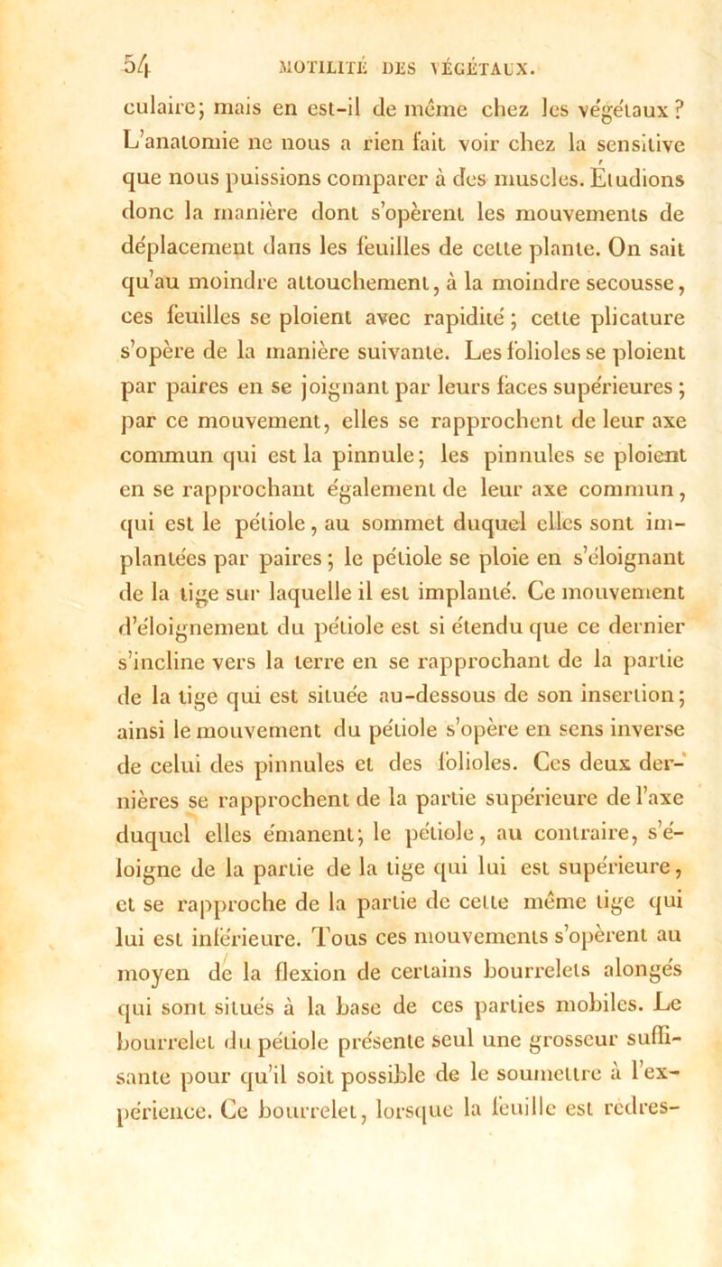 culaire; mais en est-il de même chez les végétaux? L’anatomie ne nous a rien fait voir chez la sensitive t que nous puissions comparer à des muscles. Etudions donc la manière dont s’opèrent les mouvements de déplacement dans les feuilles de cette plante. On sait qu’au moindre attouchement, à la moindre secousse, ces feuilles se ploient avec rapidité ; celle plicature s’opère de la manière suivante. Les folioles se ploient par paires en se joignant par leurs faces supérieures ; par ce mouvement, elles se rapprochent de leur axe commun qui est la pinnule; les pinnules se ploient en se rapprochant également de leur axe commun, qui est le pétiole, au sommet duquel elles sont im- plantées par paires ; le pétiole se ploie en s’éloignant de la tige sur laquelle il est implanté. Ce mouvement d’éloignement du pétiole est si étendu que ce dernier s’incline vers la terre en se rapprochant de la partie de la tige qui est située au-dessous de son insertion; ainsi le mouvement du pétiole s’opère en sens inverse de celui des pinnules et des folioles. Ces deux der- nières se rapprochent de la partie supérieure de l’axe duquel elles émanent; le pétiole, au contraire, s’é- loigne de la partie de la tige qui lui est supérieure, et se rapproche de la partie de cette même lige qui lui est inférieure. Tous ces mouvements s’opèrent au moyen de la flexion de certains bourrelets alongés qui sont situés à la base de ces parties mobiles. Le bourrelet du pétiole présente seul une grosseur suffi- sante pour qu’il soit possible de le soumettre a l’ex- périence. Ce bourrelet, lorsque la feuille est redres-