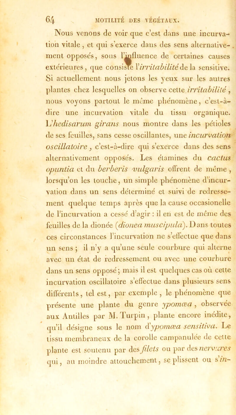 Nous venons de voir que c’est dans une incurva- tion vitale , et qui s'exerce dans des sens alternative- ment opposes, sons Influence de certaines causes extérieures, que consiste Y irritabilité de la sensitive. Si actuellement nous jetons les yeux sur les autres plantes chez lesquelles on observe cette irritabilité, nous voyons partout le même phénomène, c’est-à- dire une incurvation vitale du tissu organique. L'hedisarum girans nous montre dans les pétioles de ses feuilles, sans cesse oscillantes, une incurvation oscillatoire, c’est-à-dire qui s’exerce dans des sens alternativement opposes. Les examines du cactus opuntia et du berberis •vulgaris offrent de même , lorsqu’on les louche, un simple phénomène d’incur- vation dans un sens déterminé et suivi de redresse- ment quelque temps après que la cause occasionelle de l’incurvation a cessé d’agir : il en est de même des feuilles de la dionée (dionea muscipuld). Dans toutes ces circonstances l’incurvation ne s’elTectue que dans un sens ; il n’y a qu’une seule courbure qui alterne avec un état de redressement ou avec une courbure dans un sens opposé; mais il est quelques cas où celte incurvation oscillatoire s’effectue dans plusieurs sens différents, tel est, par exemple , le phénomène que présente une plante du genre ypomœa , observée aux Antilles par M.Turpin, plante encore inédite, qu’il désigne sous le nom dypomœa sensiüva. Le tissu membraneux de la corolle campnnulée de cette plante est soutenu par des filets ou par des nervures qui, au moindre attouchement, se plissent ou s in-