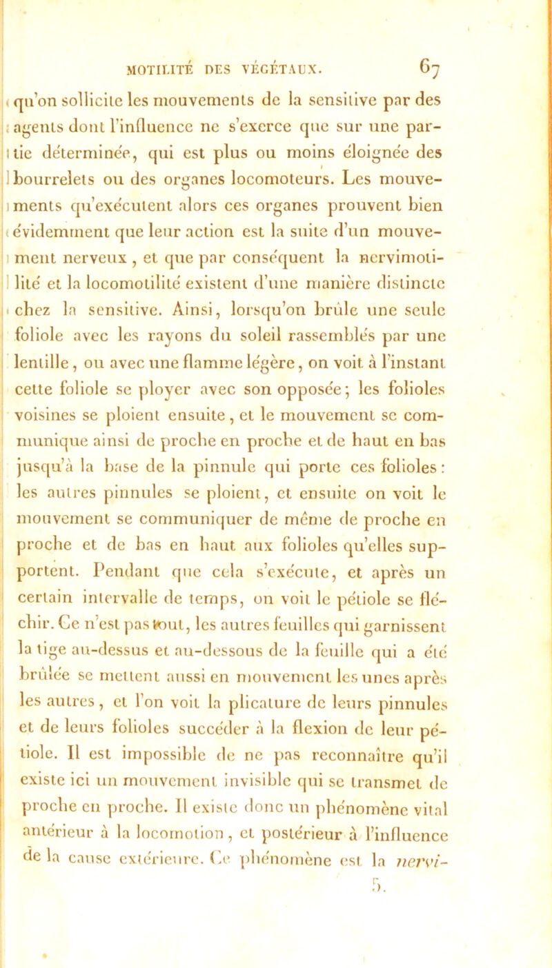 qu’on sollicite les mouvements de la sensitive par des agents dont l’influence ne s’exerce que sur une par- Mlie déterminée, qui est plus ou moins éloignée des 1 bourrelets ou des organes locomoteurs. Les mouve- jiments qu’exécutent alors ces organes prouvent bien ((évidemment que leur action est la suite d’un mouve- 1 ment nerveux , et que par conséquent la nervimoii- lité et la locomotililé existent d’une manière distincte h chez la sensitive. Ainsi, lorsqu’on brûle une seule foliole avec les rayons du soleil rassemblés par une lentille, ou avec une flamme légère, on voit à l’instant cette foliole se ployer avec son opposée-, les folioles voisines se ploient ensuite, et le mouvement se com- munique ainsi de proche en proche et de haut en bas jusqu’à la base de la pinnule qui porte ces folioles : les autres pinnules se ploient, et ensuite on voit le mouvement se communiquer de même de proche en proche et de bas en haut aux folioles quelles sup- portent. Pendant que cela s’exécute, et après un certain intervalle de temps, on voit le pétiole se flé- chir. Ce n'est pas tout, les autres feuilles qui garnissent la tige au-dessus et au-dessous de la feuille qui a été brûlée se mettent aussi en mouvement les unes après les autres, et l’on voit la plicature de leurs pinnules et de leurs folioles succéder à la flexion de leur pé- tiole. Il est impossible de ne pas reconnaître qu’il existe ici un mouvement invisible qui se transmet de proche en proche. Il existe donc un phénomène vital antérieur à la locomotion, et postérieur à l’influence ûe la cause extérieure. Ce phénomène est la nervi-