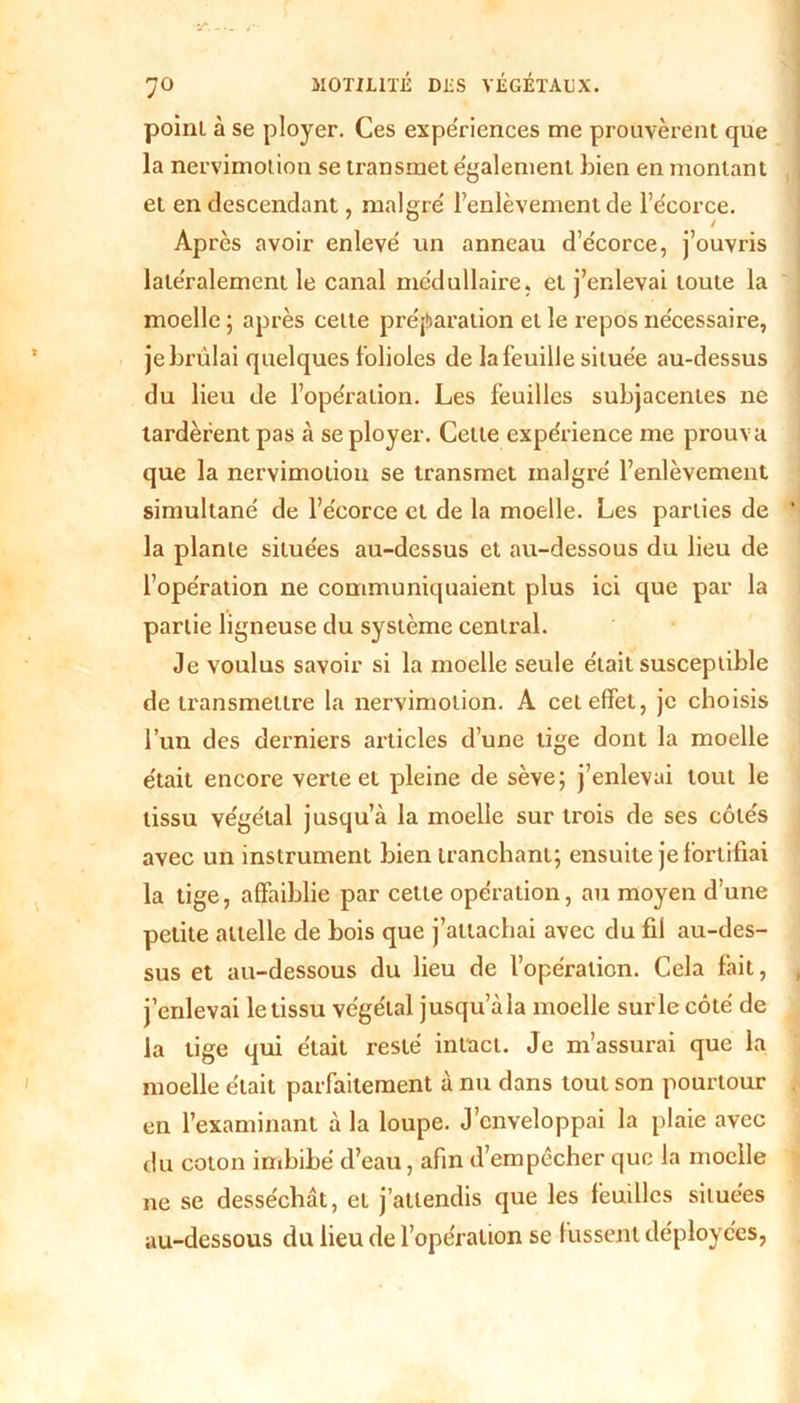 point à se ployer. Ces expériences me prouvèrent que la nervimolion se transmet egalement bien en montant et en descendant, maigre' l’enlèvement de l’écorce. Après avoir enlevé un anneau d’écorce, j’ouvris latéralement le canal médullaire, et j’enlevai toute la moelle ; après cette préparation et le repos nécessaire, je brûlai quelques folioles de la feuille située au-dessus du lieu de l’opération. Les feuilles subjacentes ne tardèrent pas à se ployer. Cette expérience me prouva que la nervimolion se transmet malgré l’enlèvement simultané de l’écorce et de la moelle. Les parties de la plante situées au-dessus et au-dessous du lieu de l’opération ne communiquaient plus ici que par la partie ligneuse du système central. Je voulus savoir si la moelle seule était susceptible de transmettre la nervimolion. A cet effet, je choisis l’un des derniers articles d’une lige dont la moelle était encore verte et pleine de sève; j’enlevai tout le tissu végétal jusqu’à la moelle sur trois de ses côtés avec un instrument bien tranchant; ensuite je fortifiai la tige, affaiblie par cette opération, au moyen d’une petite attelle de bois que j’attachai avec du fil au-des- sus et au-dessous du lieu de l’opération. Cela fait, j’enlevai le tissu végétal jusqu’àla moelle surle côté de la tige qui était resté intact. Je m’assurai que la moelle était parfaitement à nu dans tout son pourtour en l’examinant à la loupe. J’enveloppai la plaie avec du coton imbibé d’eau, afin d’empêcher que la moelle ne se desséchât, et j’attendis que les feuilles situées au-dessous du lieu de l’opération se f ussent déployées,