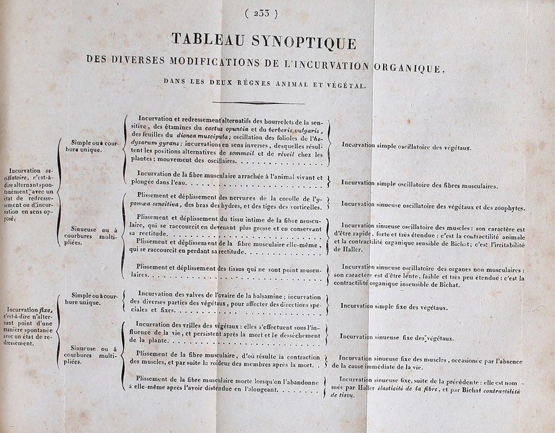 TABLEAU SYNOPTIQUE DES DIVERSES MODIFICATIONS DE L’INCURVATION DANS LES DEUX RÈGNES ANIMAL ET VÉGÉTAL. OR G AN IQUE . Simple ou à cour- bure unique. Incurvation os- ciUatoiro, c’cst-à- dire alternant spon- tanémcnt^avec un ( état de redresse- scment ou d'incur- vation en sens op- posé, Incurvation fixe, cVst-à-dire n’alter- nant point d’une manière spontanée , avec un étal de r dressement. Sinueuse ou à courbures multi- pliées. Simple ou à cour- bure unique. Sinueuse ou à courbures multi- pliées. Incurvation et redressementalternatils des bourrelets de la sen- sitKo , des étamines du cactus opuntia et du bcrbcrisvuharis , des leuilles du dionca musciputa ; oscillation des folioles de I7ie- .ysarum gyrans ; incurvations en sens inverses, desquelles résul- / Incurvation simple oscillatoire des végétaux tent les positrons alternatives de sommeil et de réveil chez les plantes ; mouvement des oscillaires Incurvation de la fibre musculaire arrachée à l’animal vivant et 1 plongée dans l'eau f Incurvation simple oscillatoire des fibres musculaires. Plissement et déplissemcnt des nervures de la corolle de l’y- ) pomwa sensitiva, des bras des hydres, et des tiges des vorticelles. 1 'ncurvatujn sinueuse oscillatoire des végétaux et des zoophytes. Plissement et déplissement du tissu intime de la fibre niuscu- \ laire, qui se raccourcit en devenant plus grosse et en conservant / Incurvation sinueuse oscillatoire des muscles : son caractère est sa rectitude ! d’être rapidé, forte et très étendue : c'est la coût,aetilité animale Plissement et déplissement de la fibre musculaire elle-même , J et la contractilité organique sensible de Bichat; c’est l’irritabilité qui se raccourcit en perdant sa rectitude ? “e Hallcr- Plissement et déplissement des tissus qui ne sont point muscu- ) Incurvation sinueuse oscillatoire des organes non musculaires : Iaires > so caractère est d’étre lente, laihle et très peu étendue : c’est la * contractilité organique insensible de Bichat. Incurvation des valves de l’ovaire de la balsamine ; incurvation I c^lefeT fixer!'! ^ ^ direCtÎ0R8 Spé‘ } ïncurvatijn simple fixe des Végétaux. Incurvation des vrilles des végétaux : elles s’effectuent sous Pin- 1 LTplante. * «* '* *“%”«>» [ Incurvation sinueuse fixe delégétamt. Plissement de la fibre musculaire morte lorsqu'on l'abandonne ) Dicuiration sinueuse fixe, suite de la précédente : elle est nom - a elle-même après l’avoir distendue en l'alongeant i mée par Ilajler élasticité de ta fibre, et par Bichat contractilité ') de tissu.