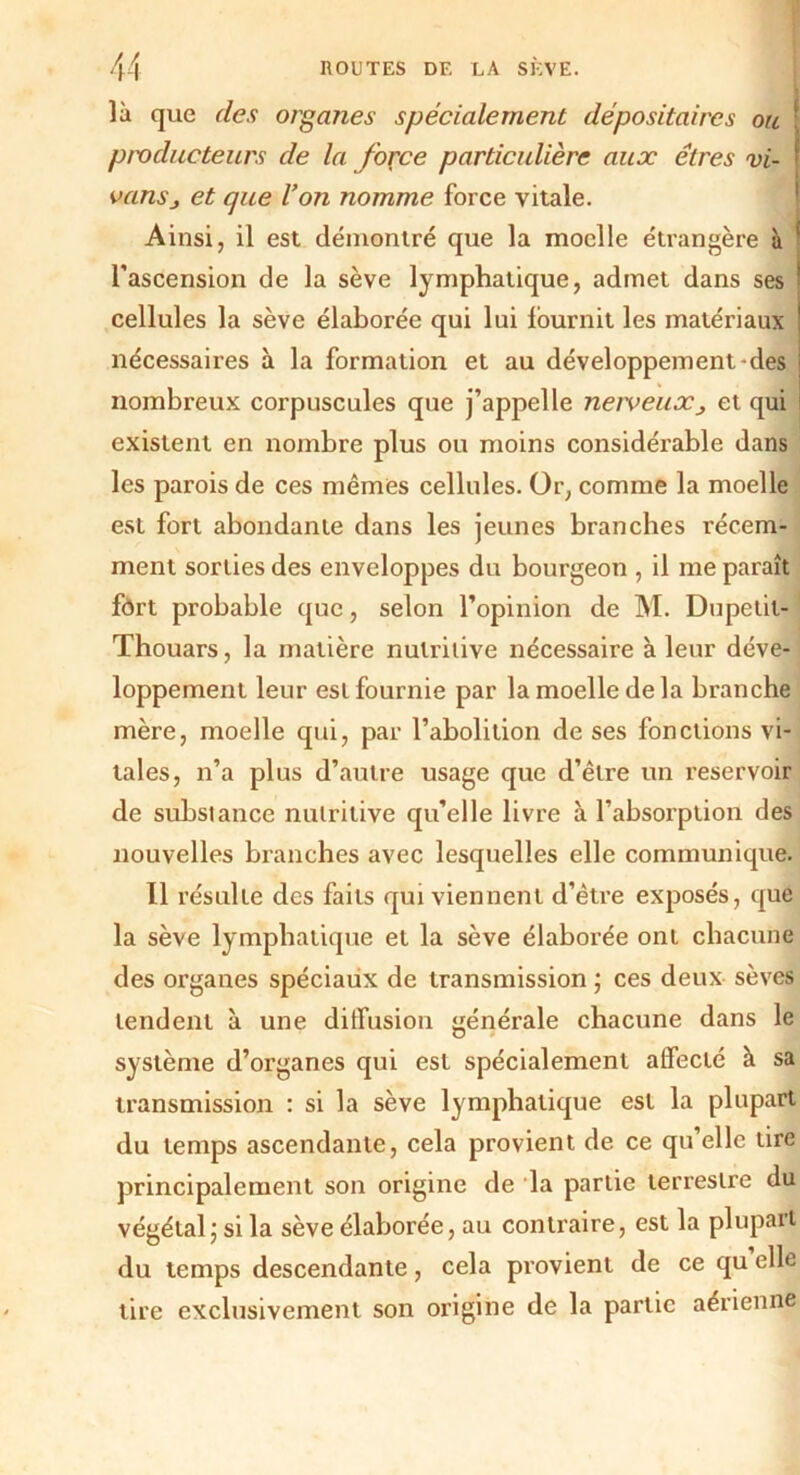 là que des organes spécialement dépositaires ou ; producteurs de la force particulière aux êtres vi- f vansj et que Von nomme force vitale. Ainsi, il est démontré que la moelle étrangère à ( l’ascension de la sève lymphatique, admet dans ses * cellules la sève élaborée qui lui fournit les matériaux nécessaires à la formation et au développement-des nombreux corpuscules que j’appelle nerveux j et qui existent en nombre plus ou moins considérable dans les parois de ces mêmes cellules. Or, comme la moelle est fort abondante dans les jeunes branches récem- ment sorties des enveloppes du bourgeon , il me paraît fôrt probable que, selon l’opinion de M. Dupelit- Thouars, la matière nutritive nécessaire à leur déve- loppement leur est fournie par la moelle delà branche mère, moelle qui, par l’abolition de ses fonctions vi- tales, n’a plus d’autre usage que d’être un réservoir de substance nutritive qu’elle livre à l’absorption des nouvelles branches avec lesquelles elle communique. Il résulte des faits qui viennent d’être exposés, que la sève lymphatique et la sève élaborée ont chacune des organes spéciaux de transmission ; ces deux sèves tendent à une diffusion générale chacune dans le système d’organes qui est spécialement affecté à sa transmission : si la sève lymphatique est la plupart du temps ascendante, cela provient de ce qu’elle tire principalement son origine de la partie terrestre du végétal j si la sève élaborée, au contraire, est la plupart du temps descendante, cela provient de ce qu elle tire exclusivement son origine de la partie aérienne